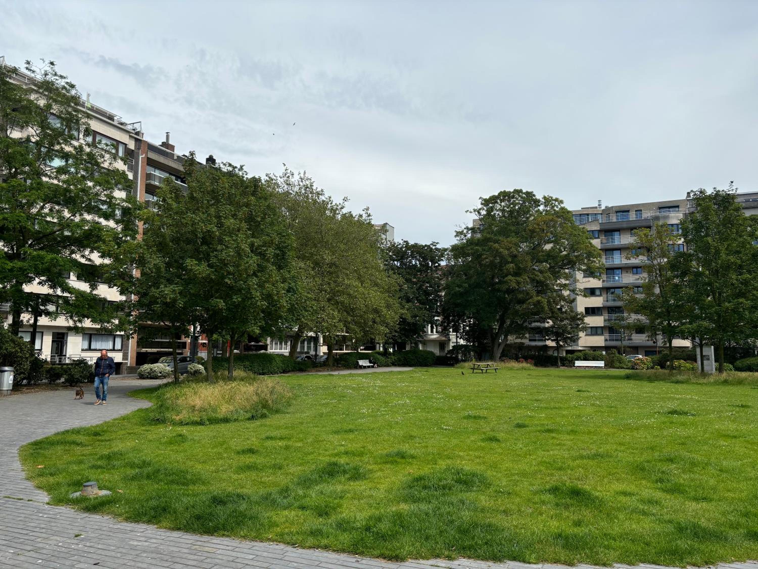 Large sunny and bright apartment with park view