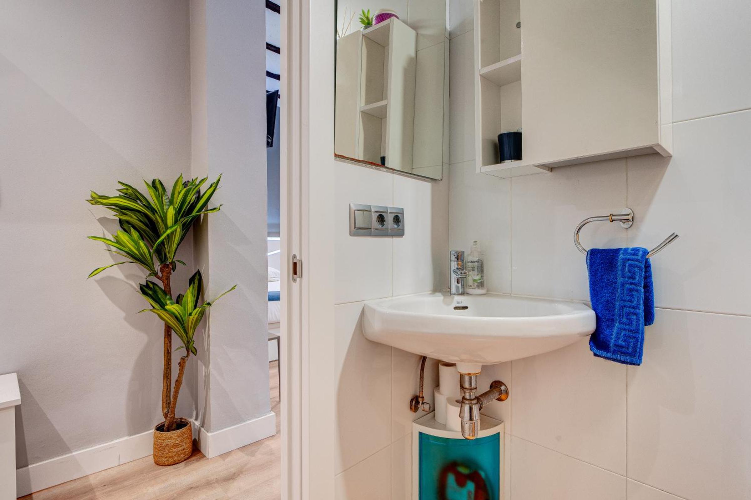 Apartamento San Blas by SanSe Holidays view 4