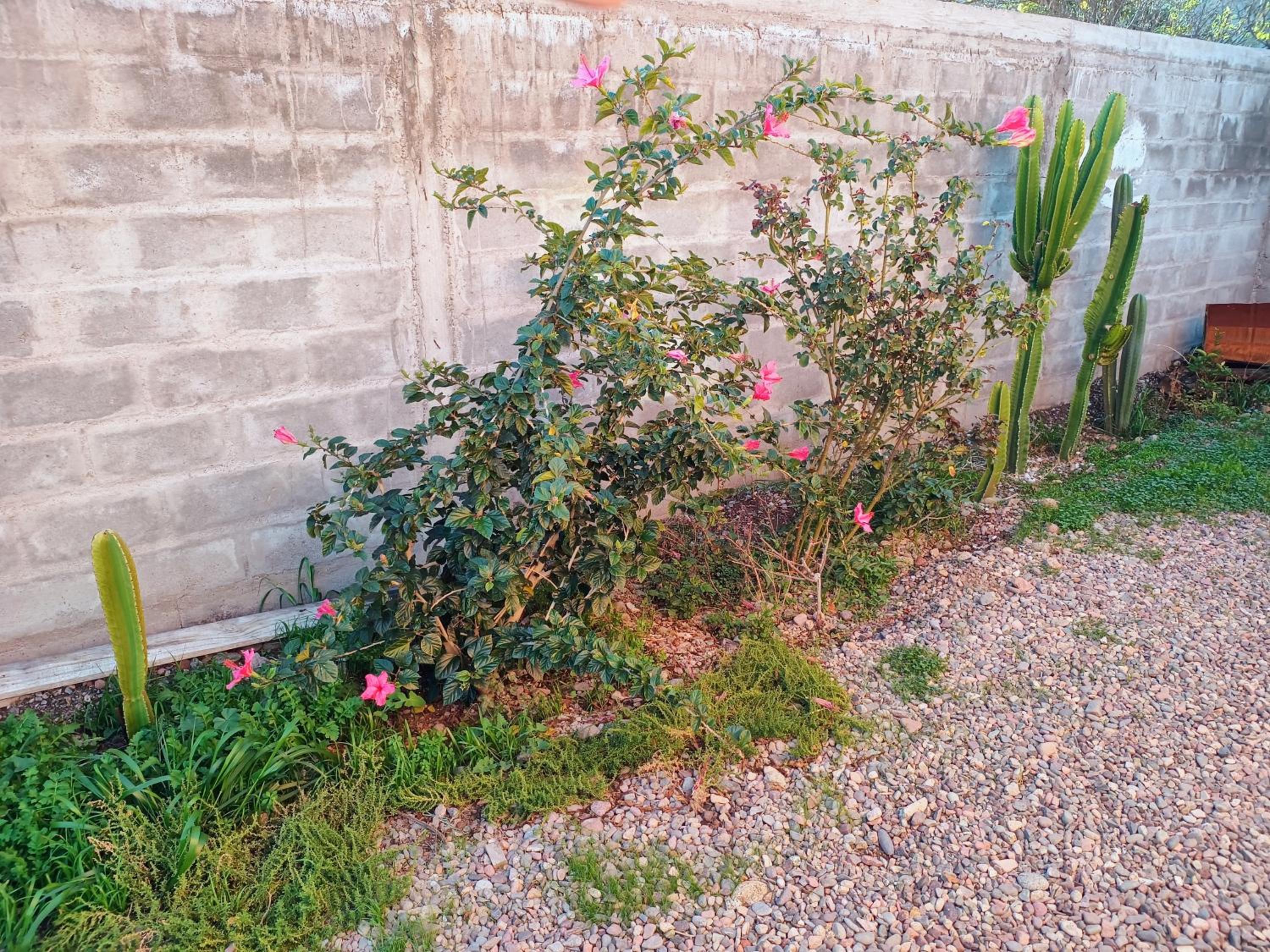Photo 35