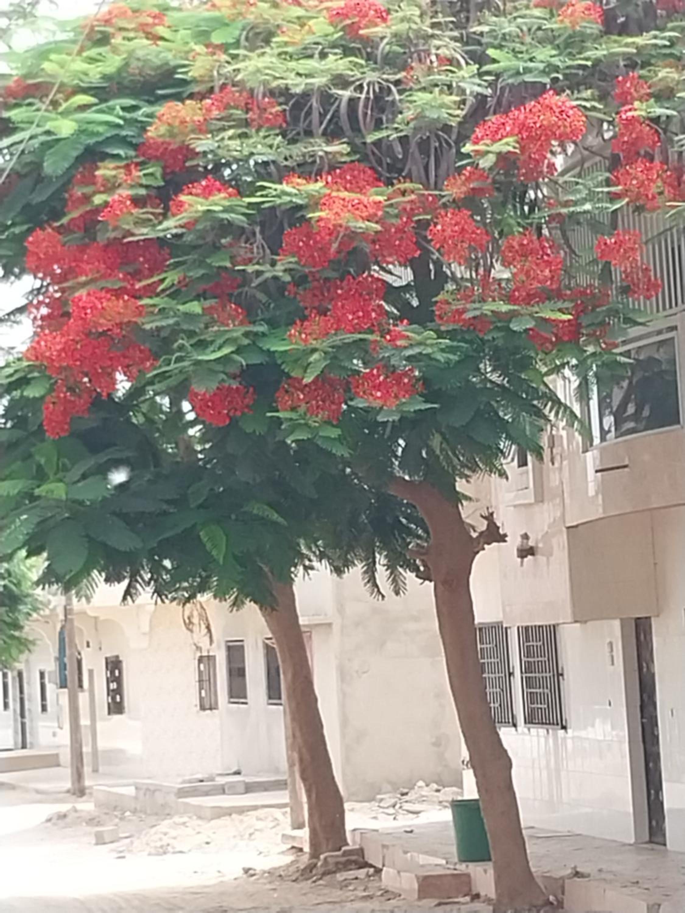 Chez Ousmane Fall ASECNA apparemment F2