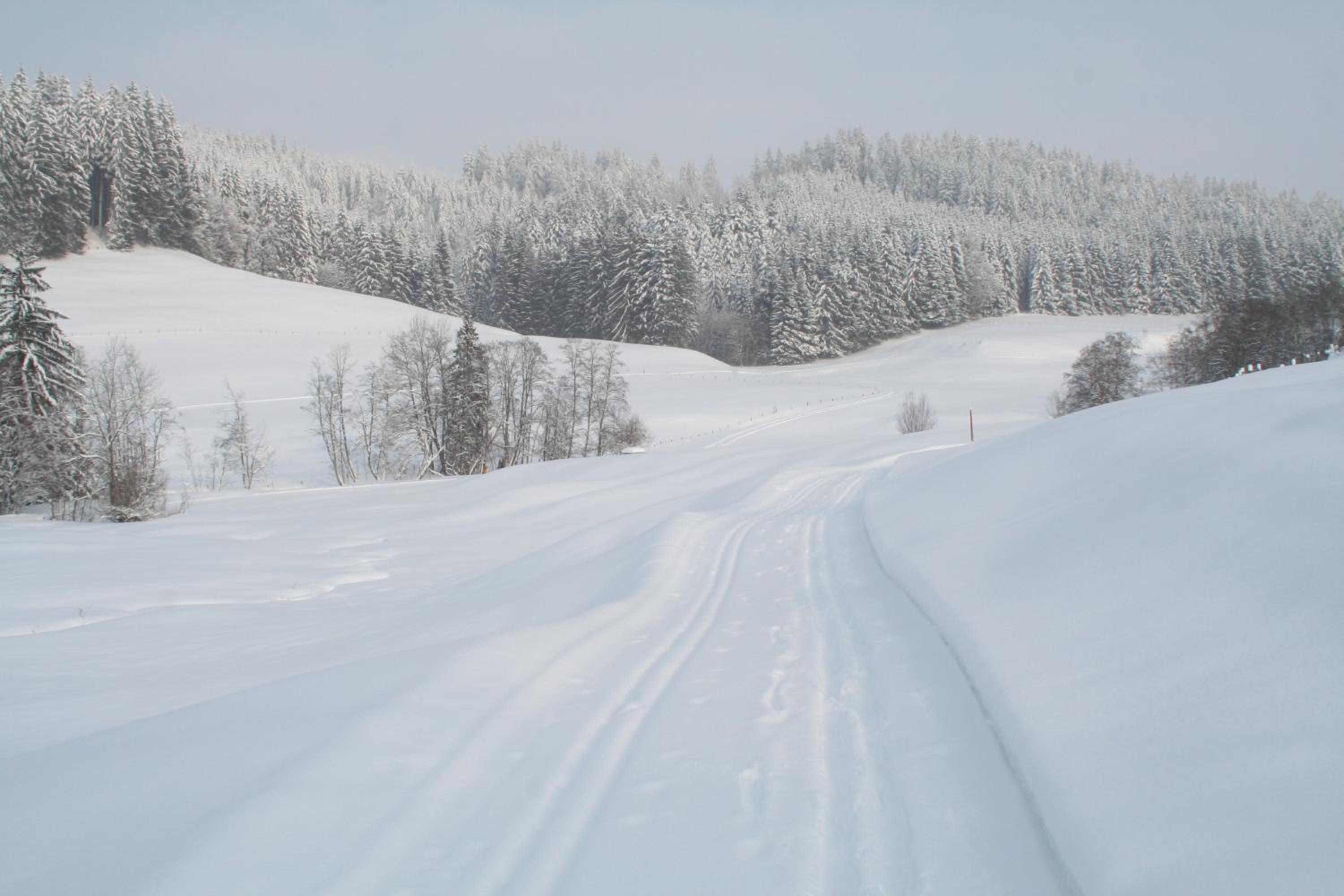 Ferienwohnung Allgäu