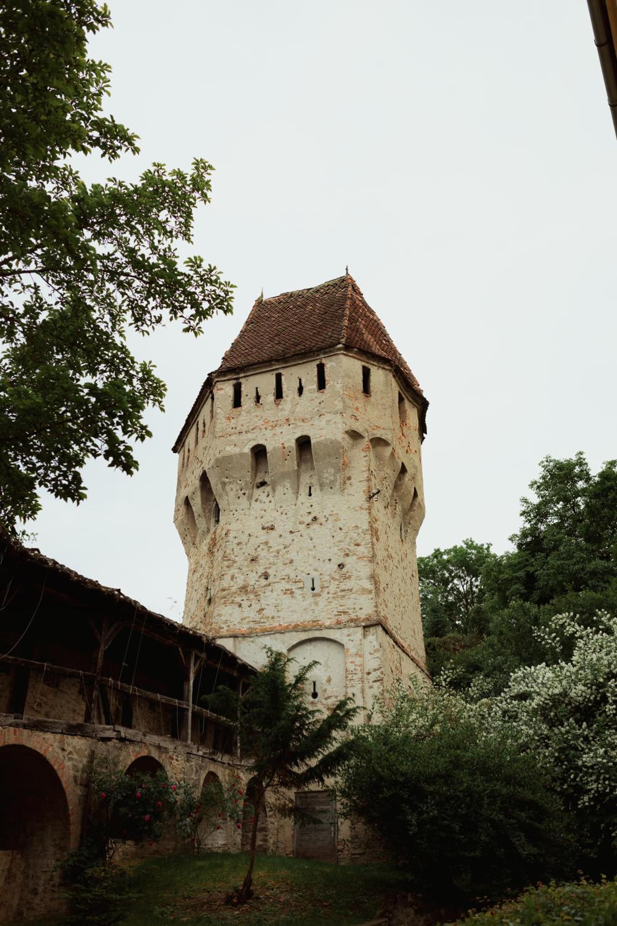 Photo 17