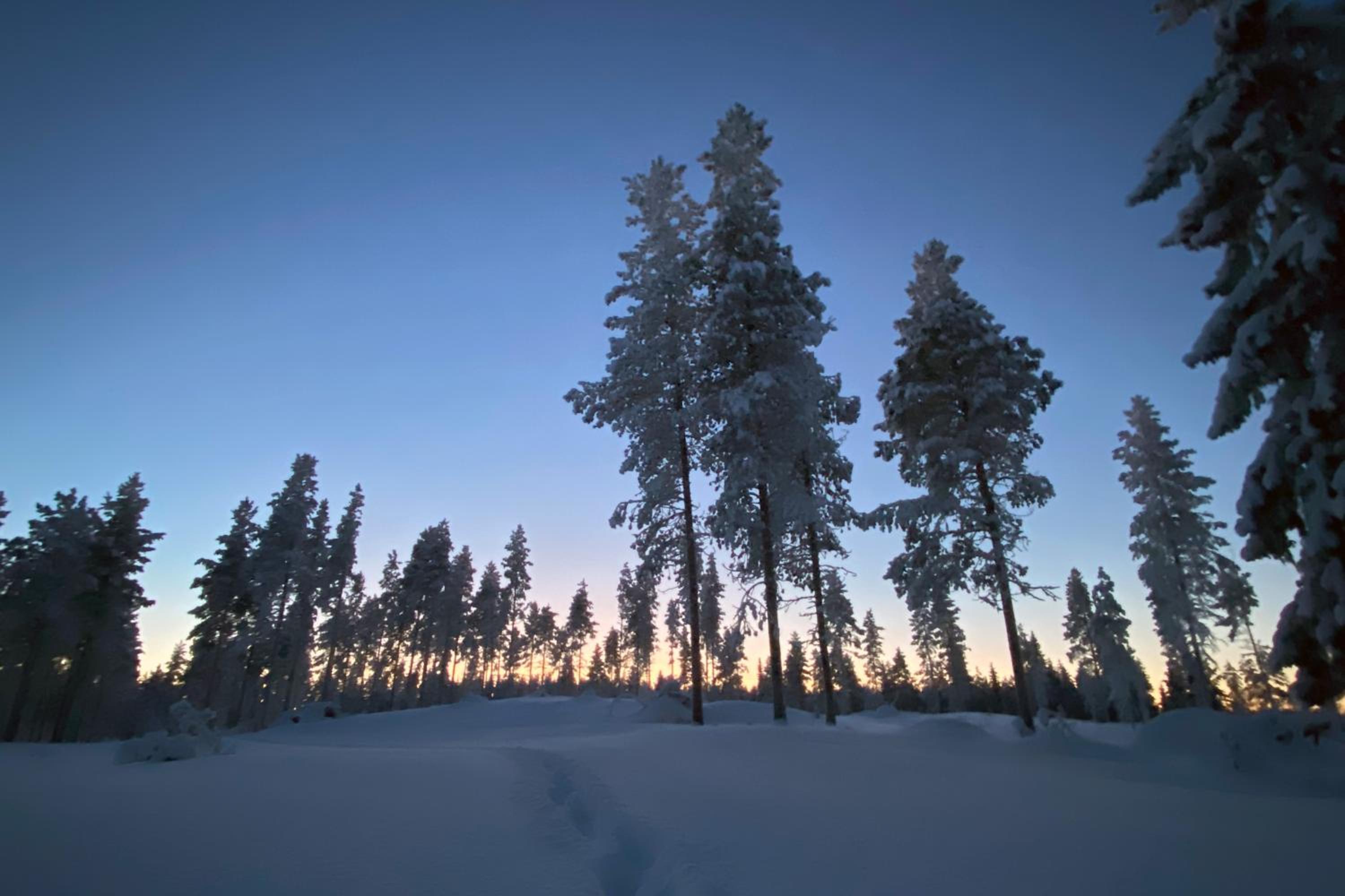 LempiKöngäs, 2 RUKA-PYHÄ skipasses included, close to Skibus