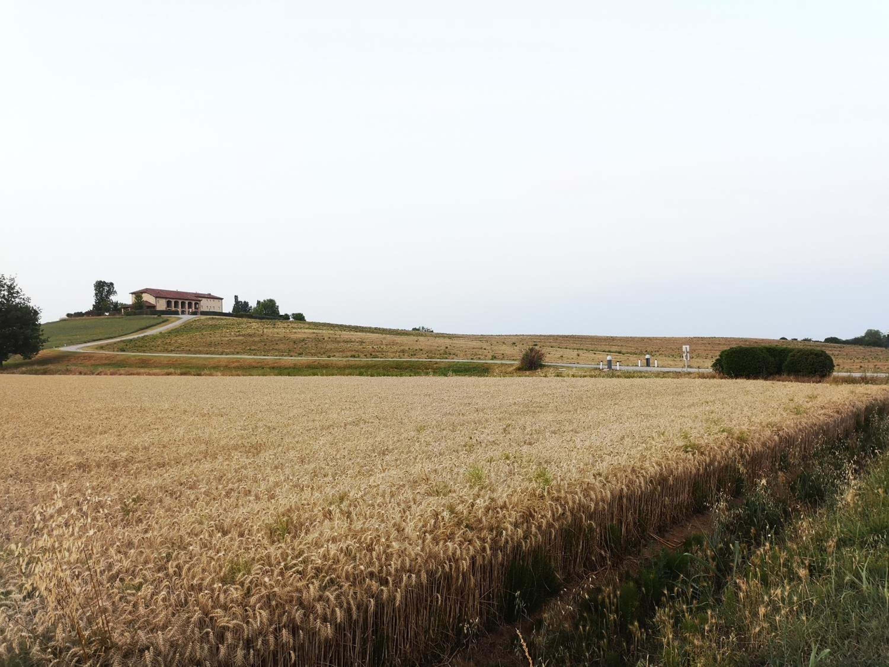 Photo 42