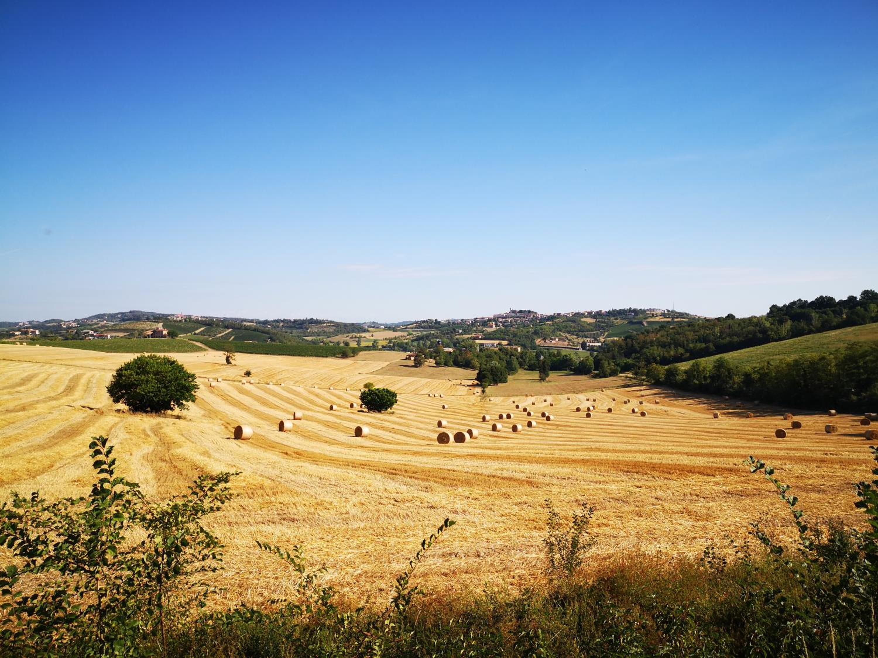 Il CHIOSTRO oasi di pace con antica cantina nel cuore del Monferrato Unesco view 5