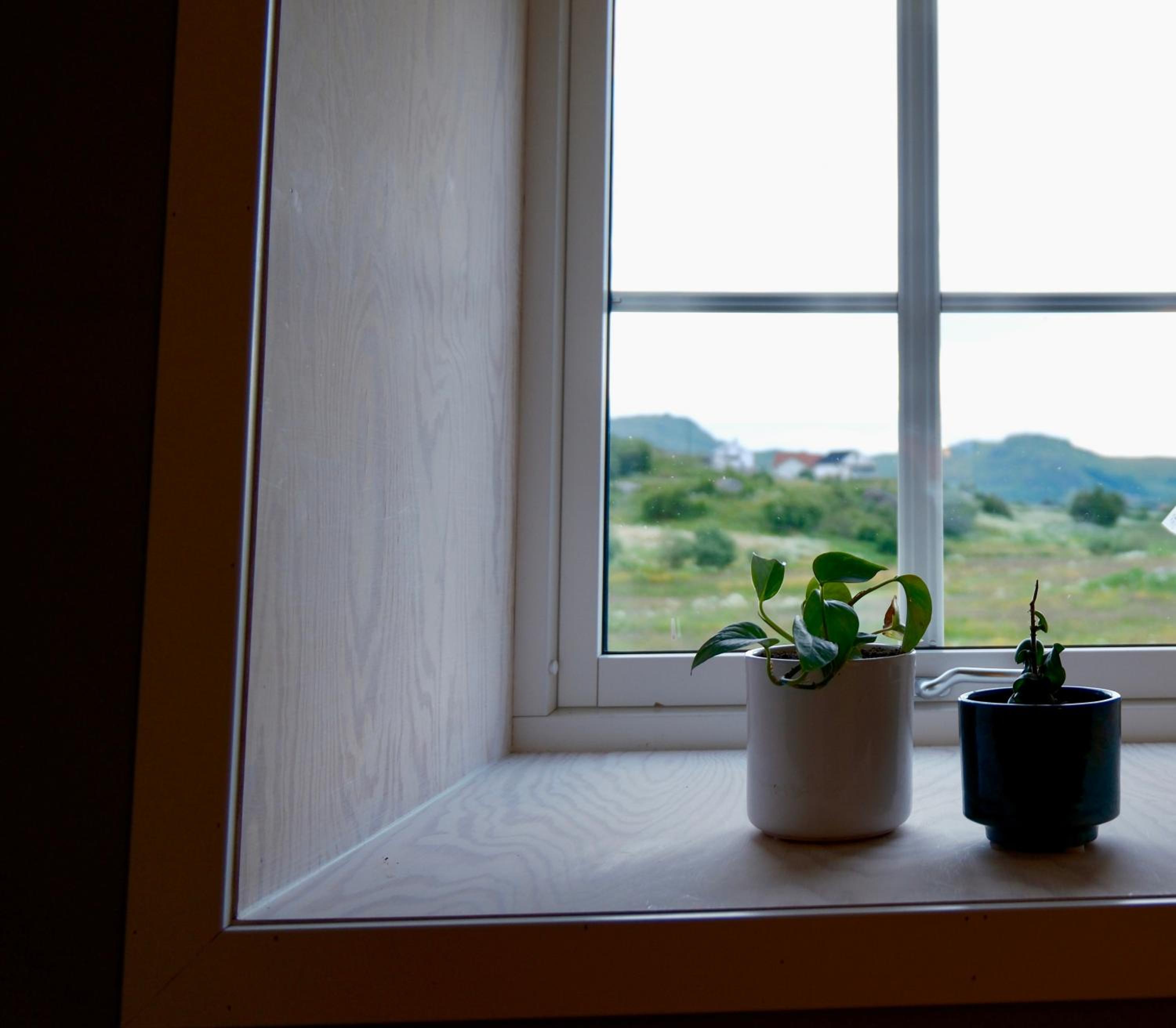 Renovated barn with a view