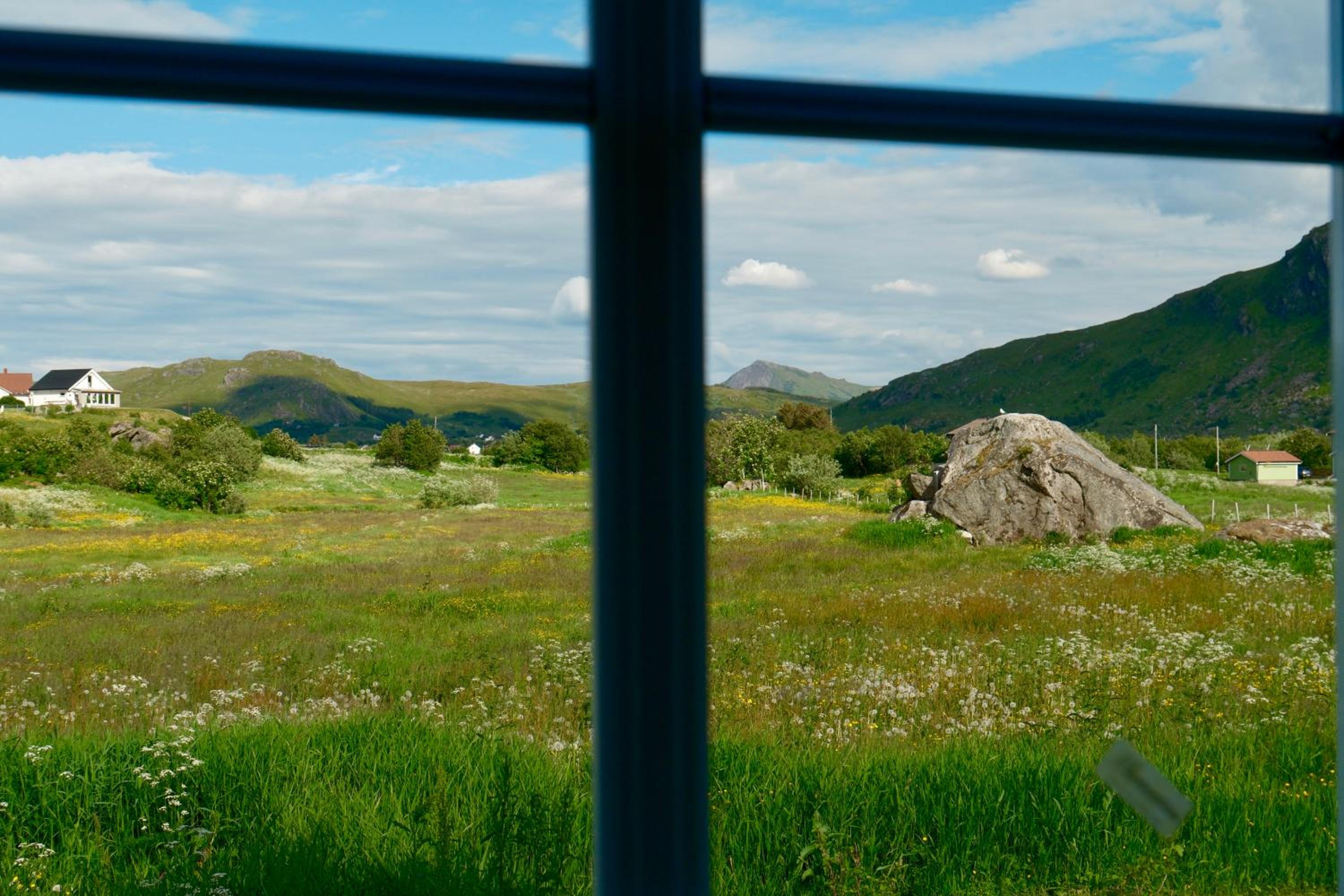 Renovated barn with a view