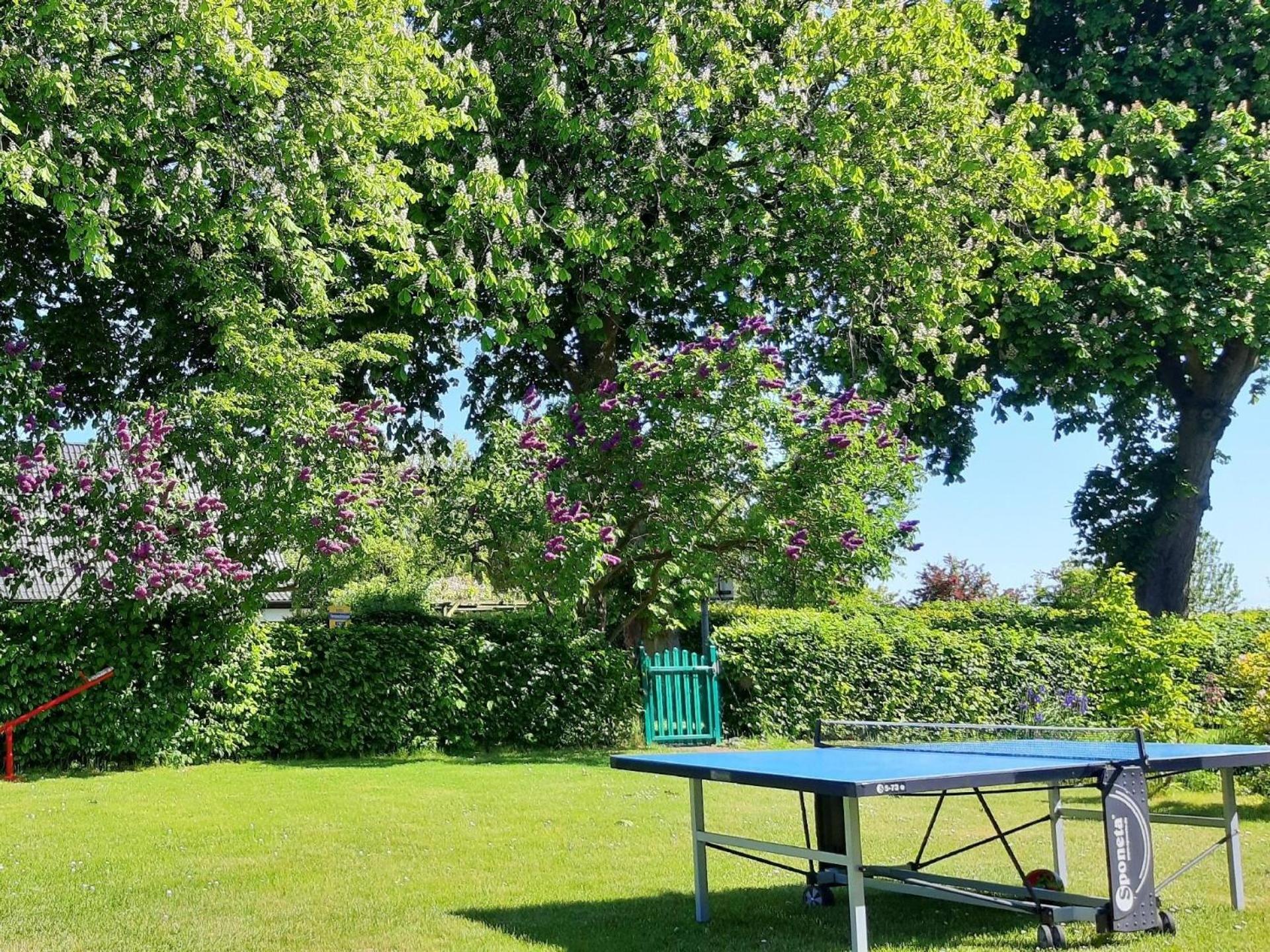 Schöne Wohnung bei Bergen auf Rügen