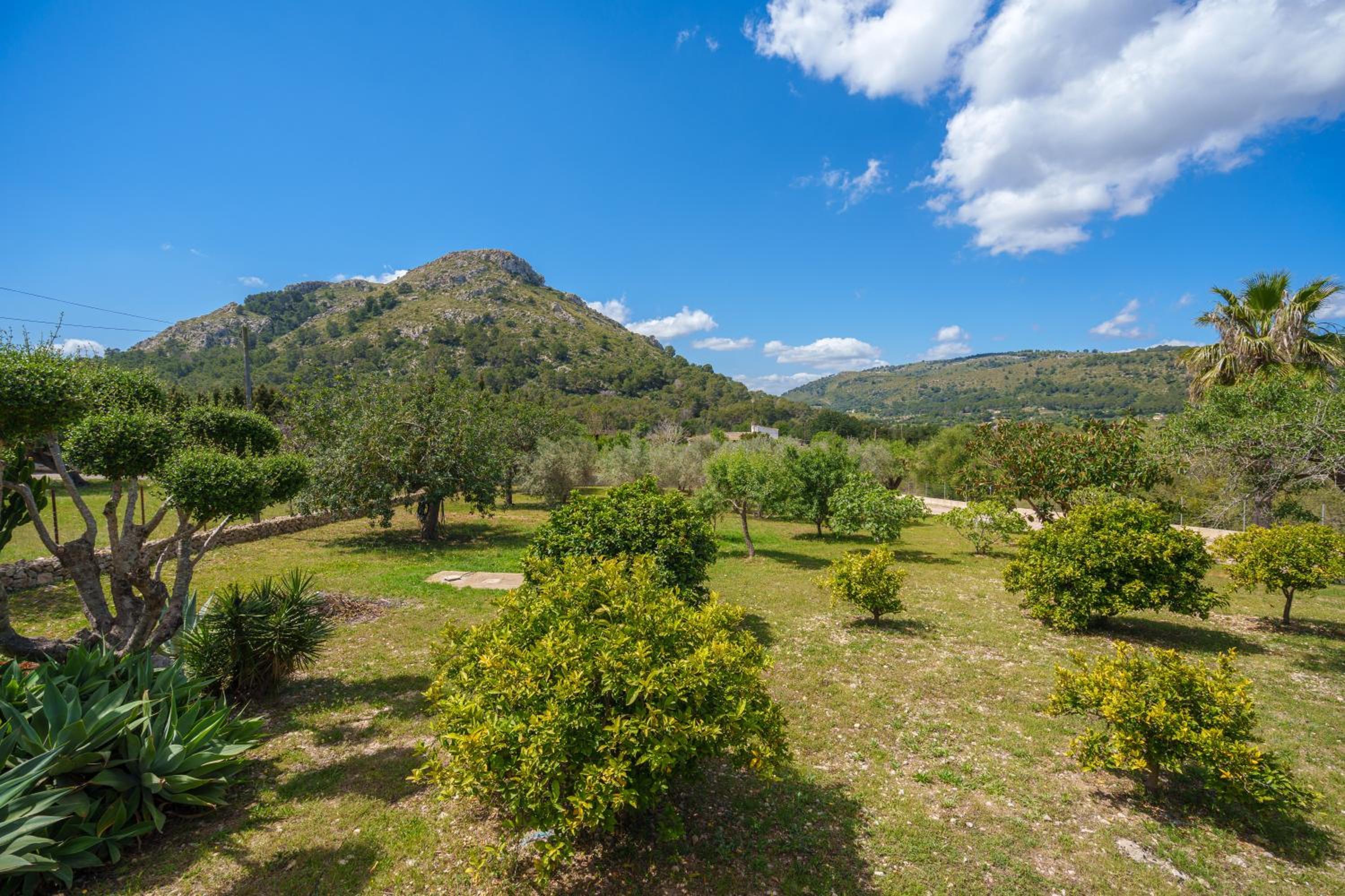 Finca Alcudia Cycling