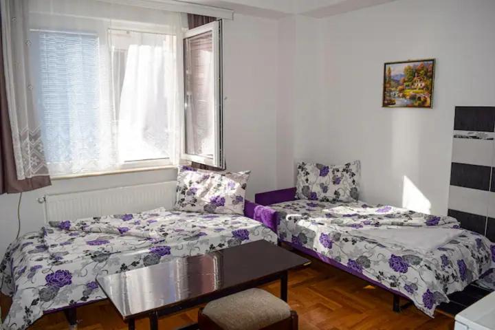 Sunshine Apartments view 4
