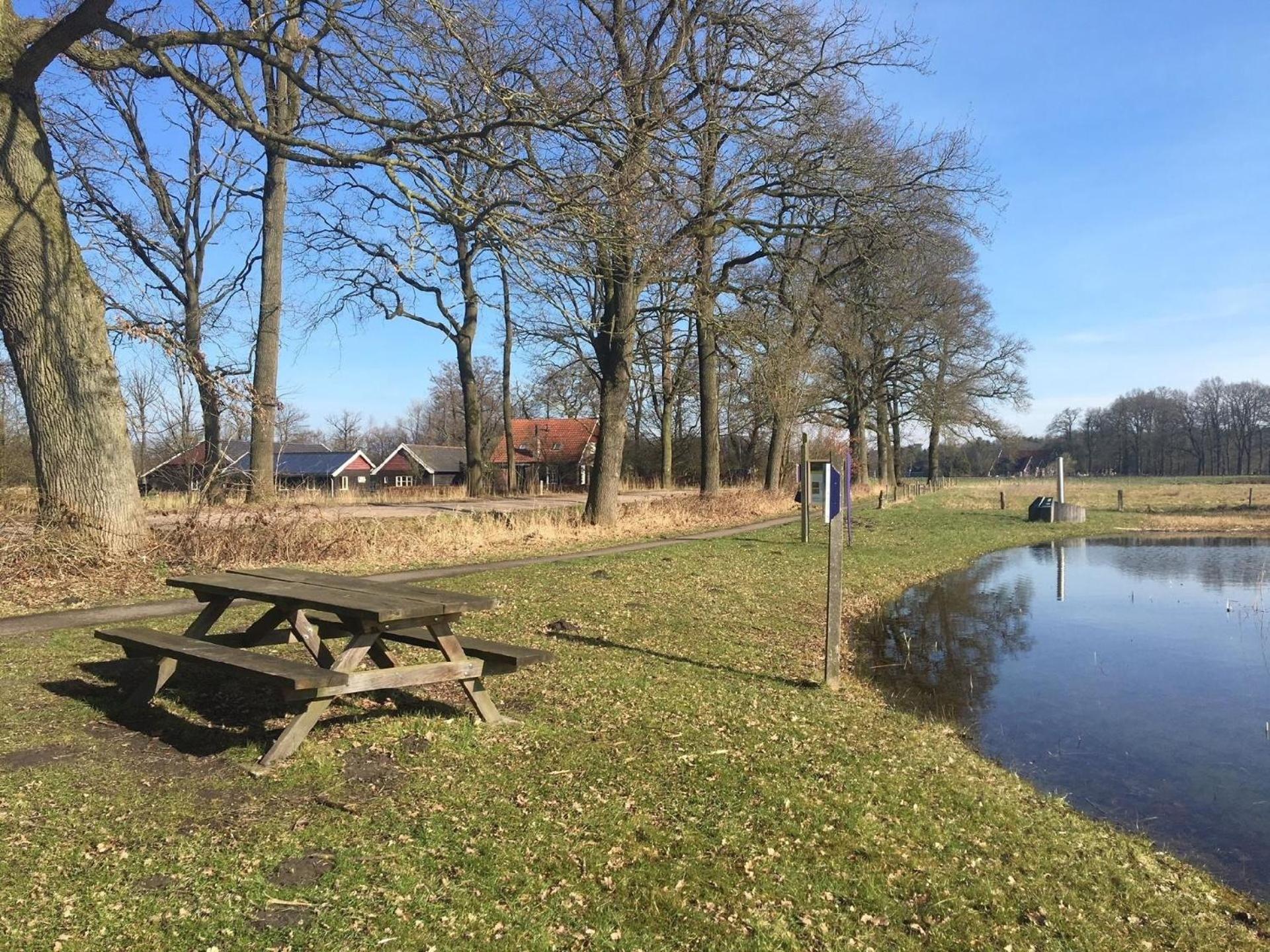 Geräumiges Ferienhaus Mitten Im Wald view 5
