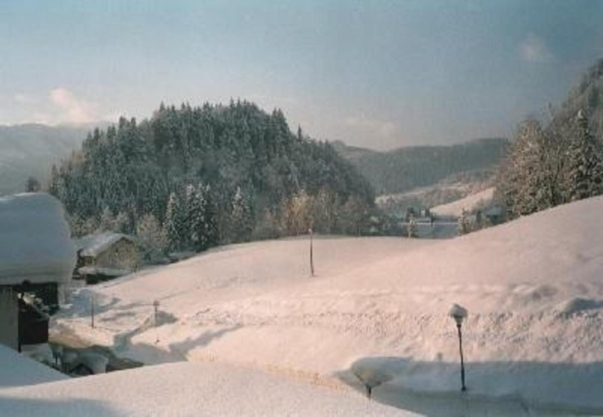 Sport Alpin Wh 1
