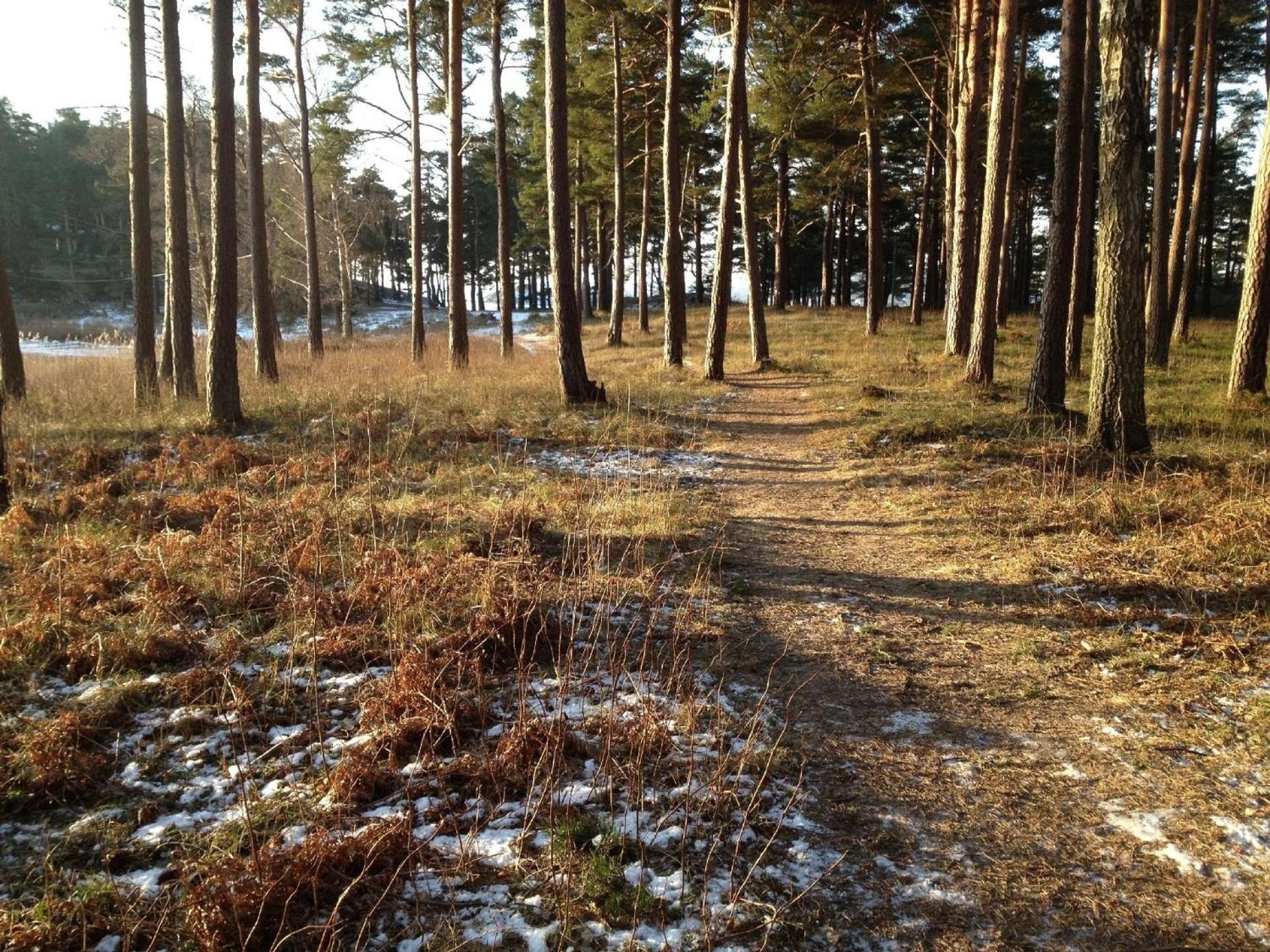 Ferienhaus für 4 Personen ca 50 qm in Stenungsund, Westküste Schweden Kattegatküste Schweden view 3