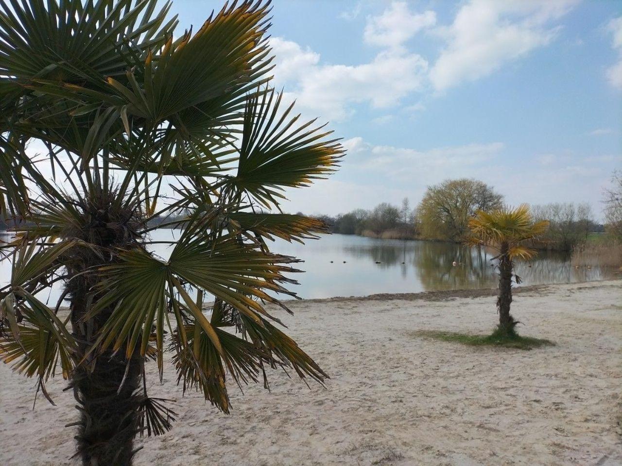 Nette Wohnung in Großheide mit Großem Whirlpool