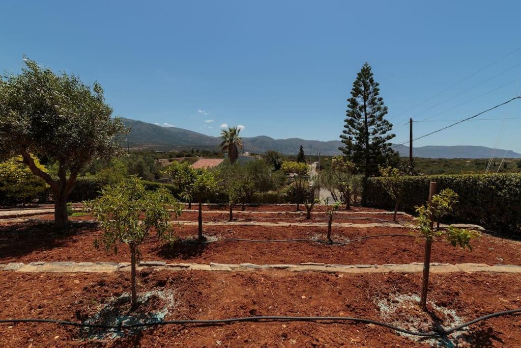 Villa Santa Barbara view 3