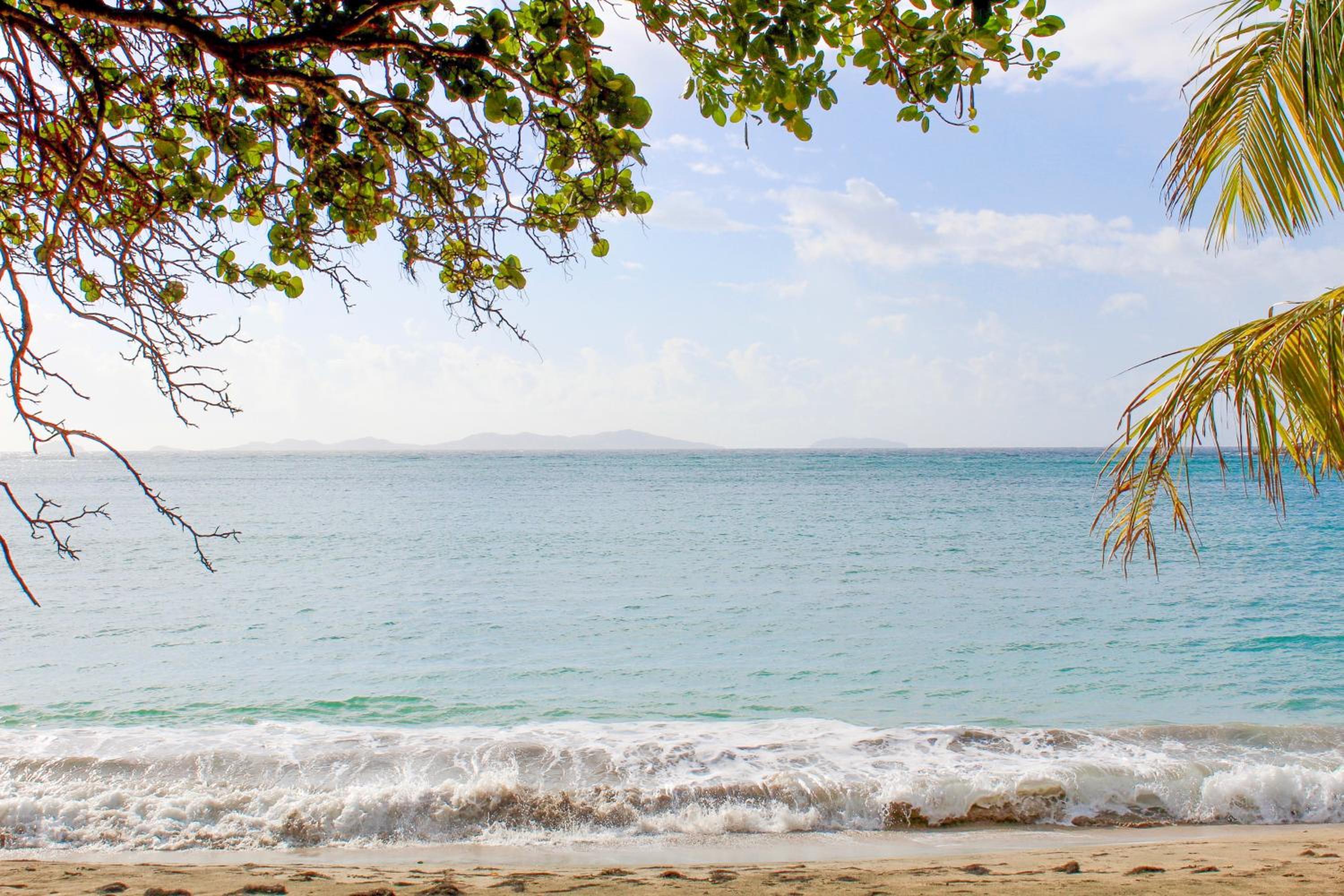 Sugarapple Bequia Beach Cottage