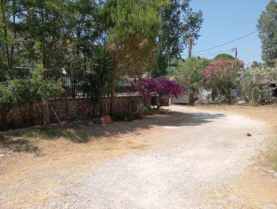 Spiros House