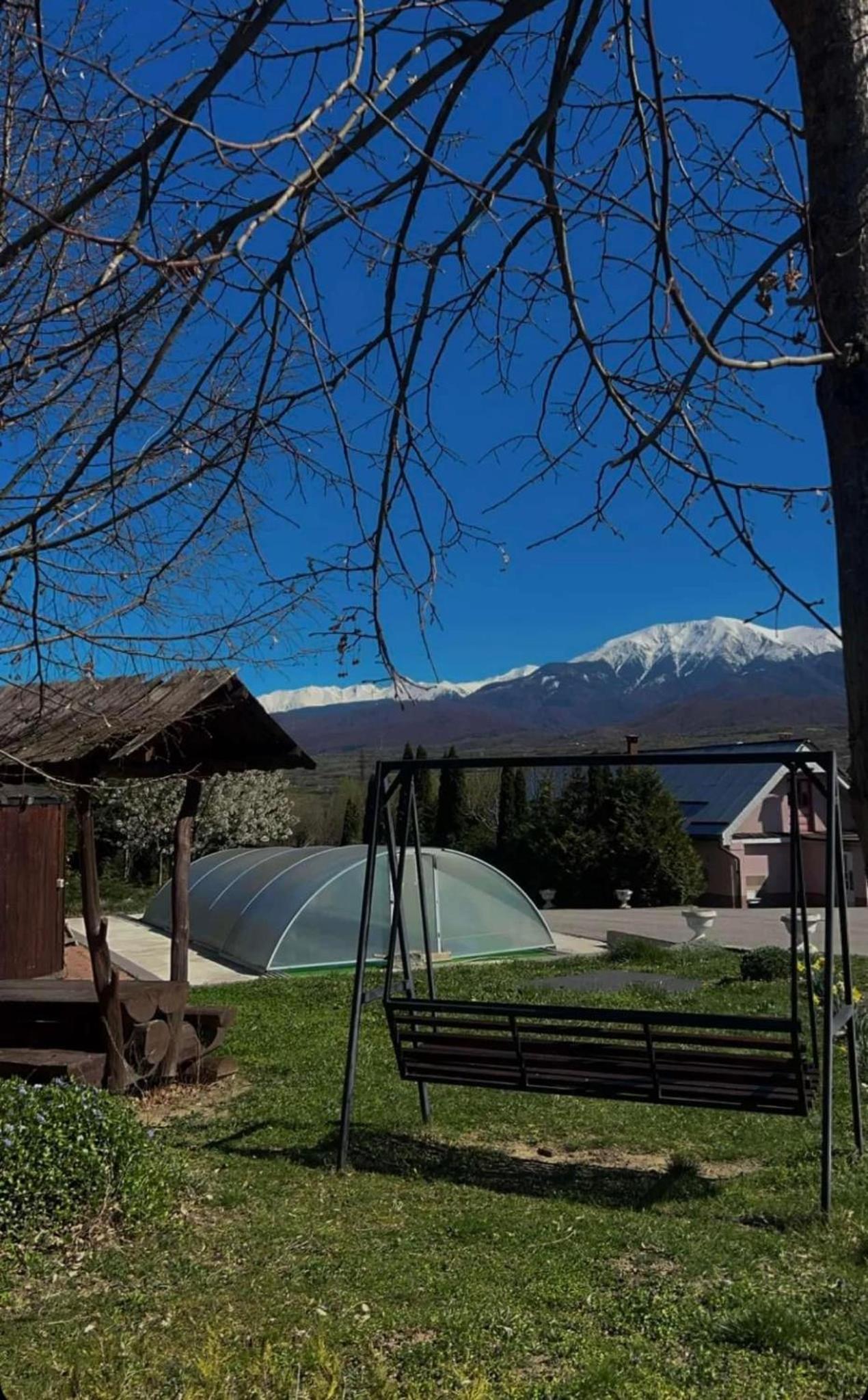 Pensiunea Oșencuța view 5