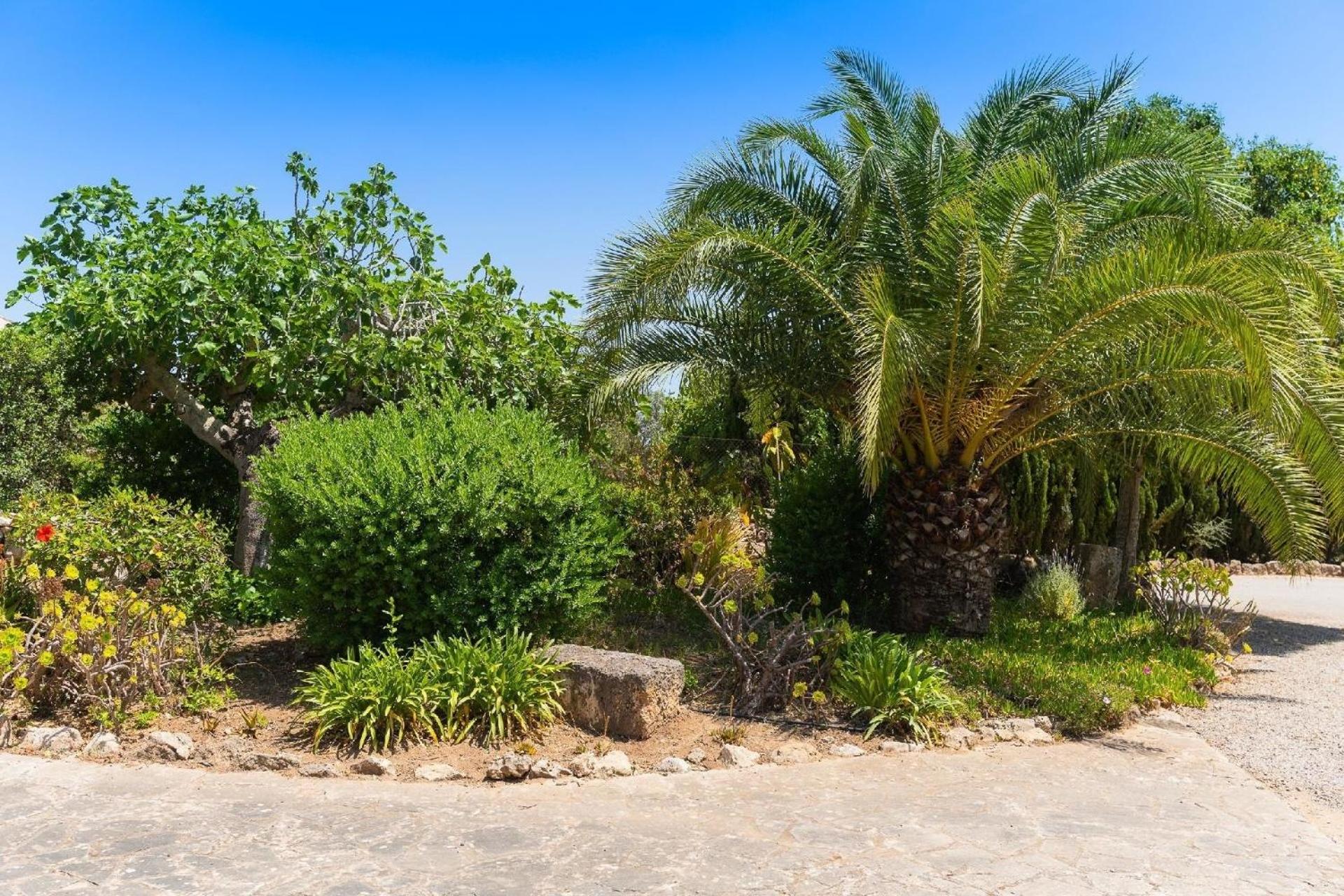 Haus mit Pool, beheizt durch Sonnenkollektoren