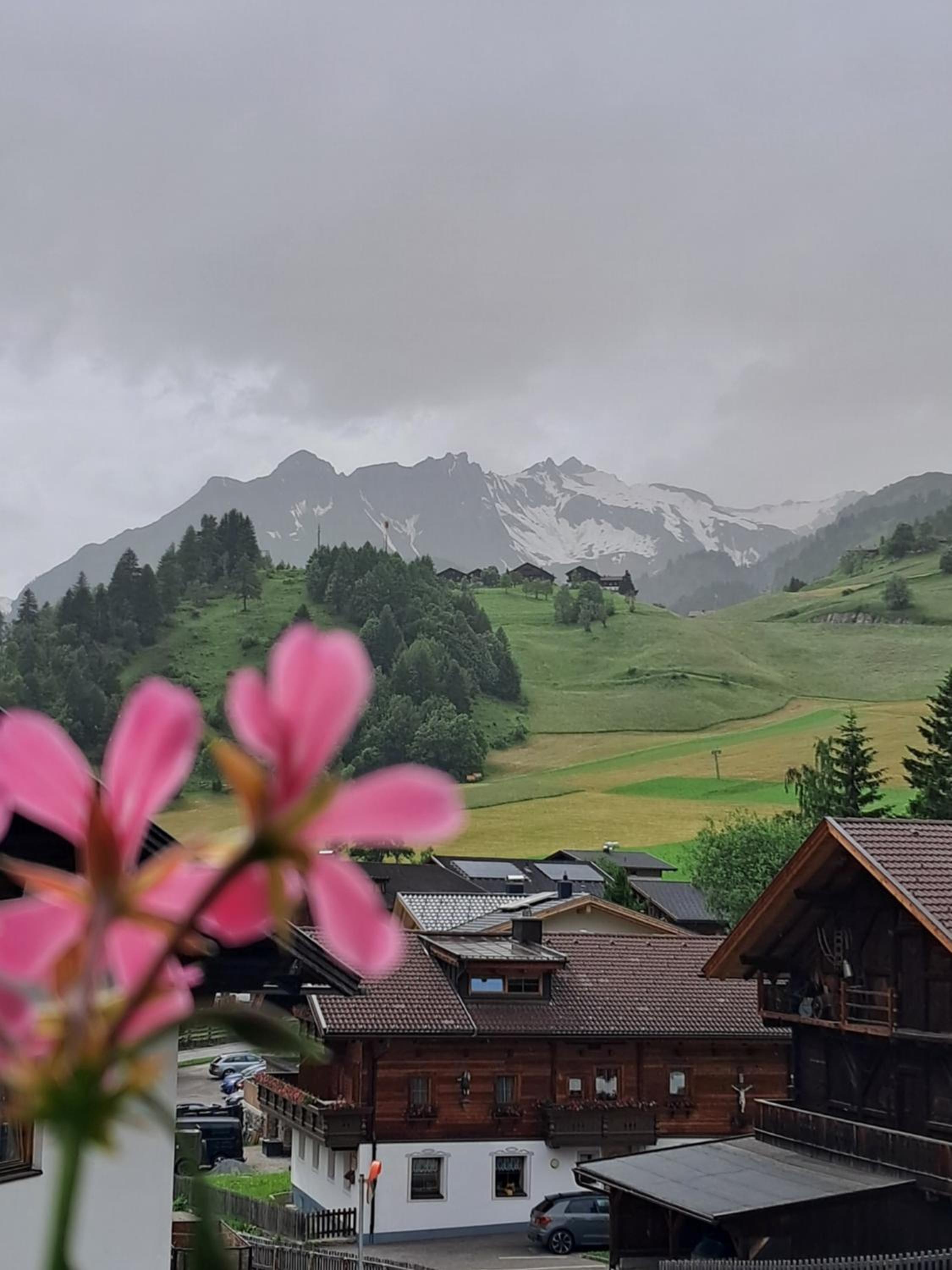 Ferienhaus Enzian