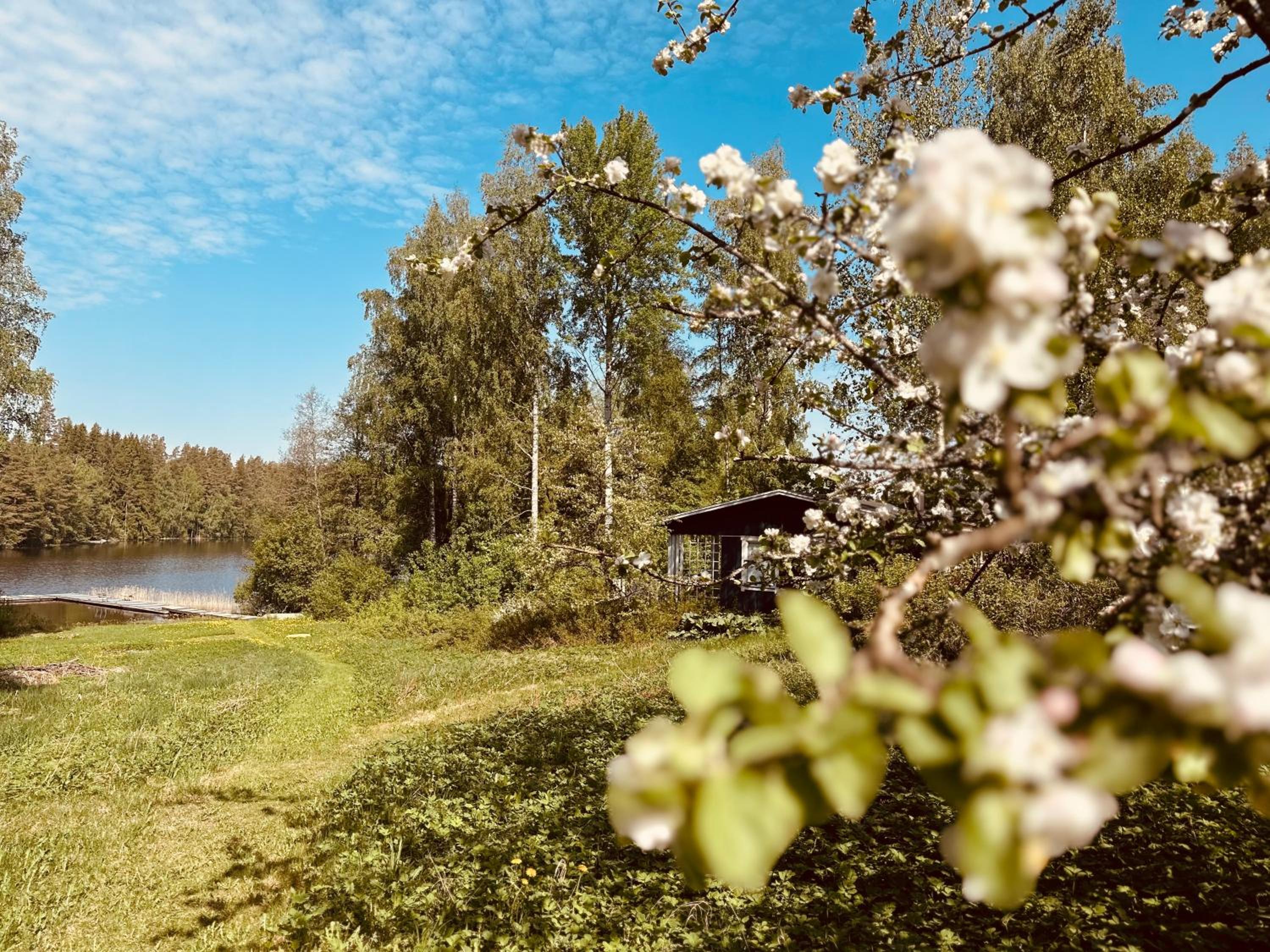 WillaSukka