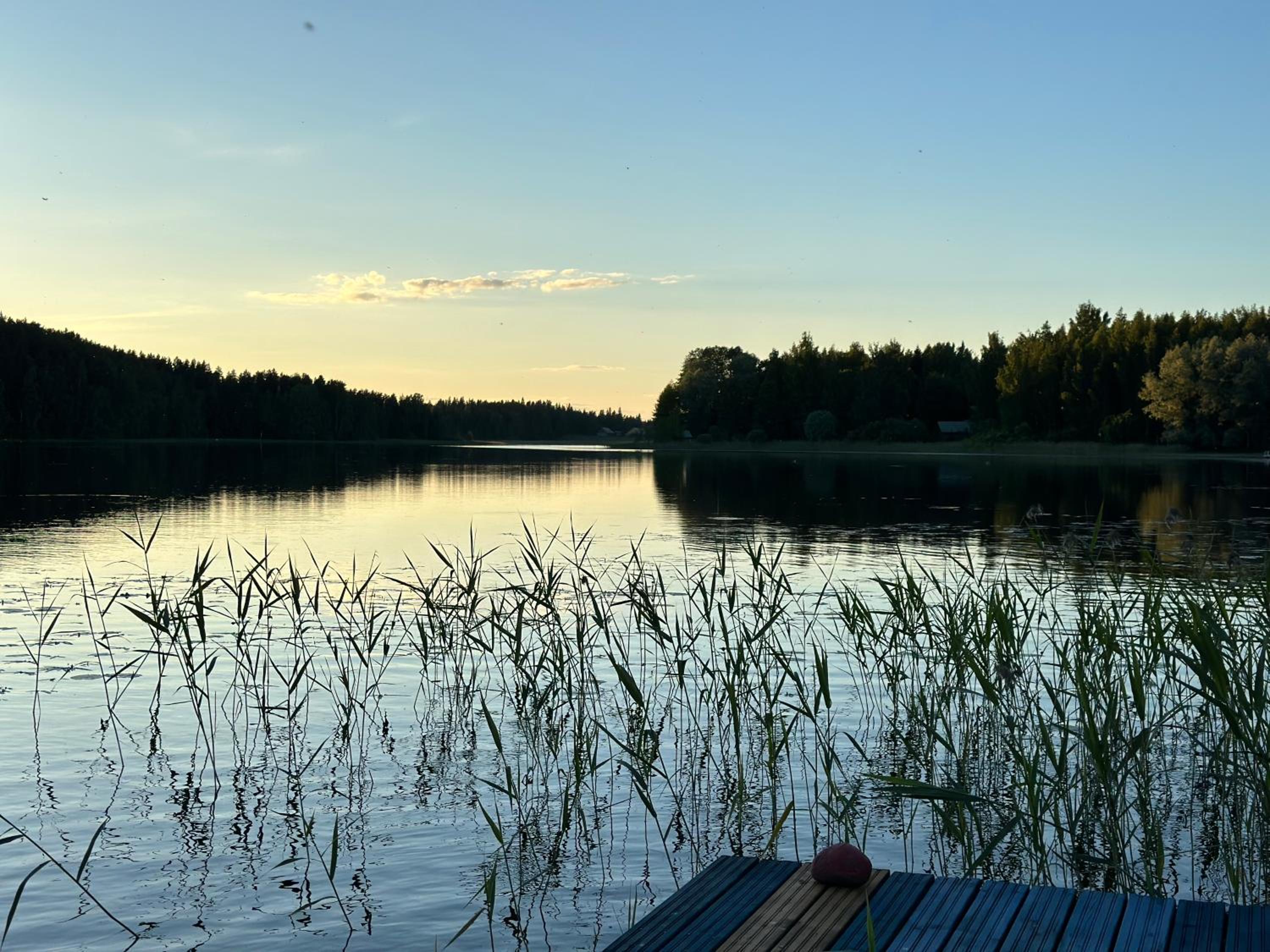 WillaSukka