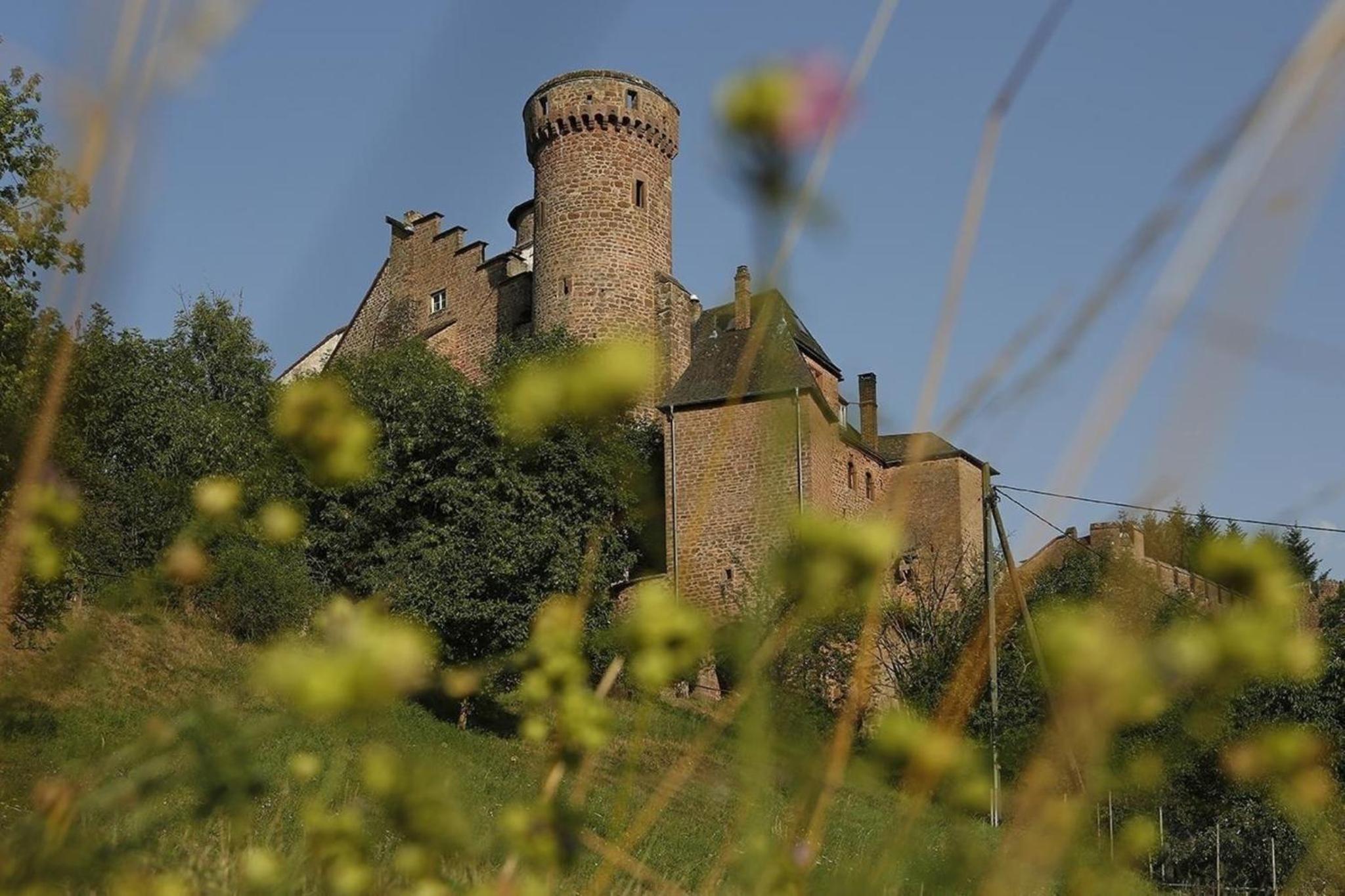 Ferienhaus mit Garten im Naturpark Südeifel