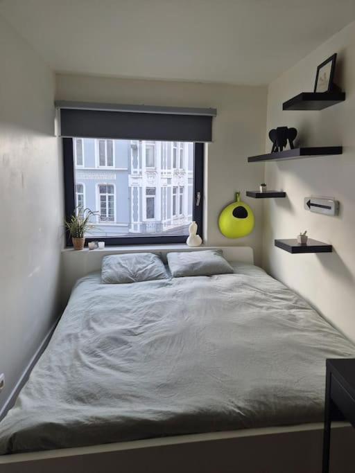 Appartement met groot terras