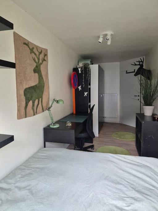 Appartement met groot terras
