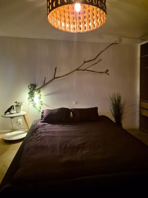 Appartement met groot terras