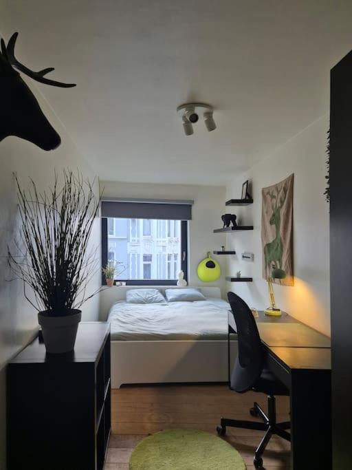 Appartement met groot terras