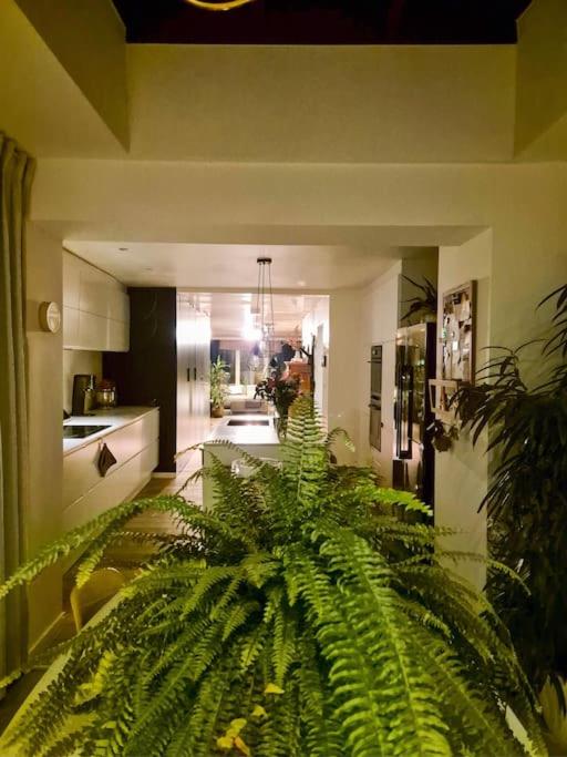 Appartement met groot terras