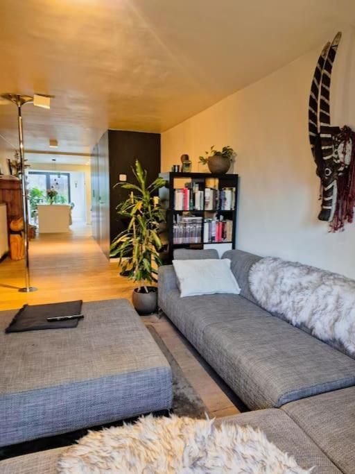 Appartement met groot terras