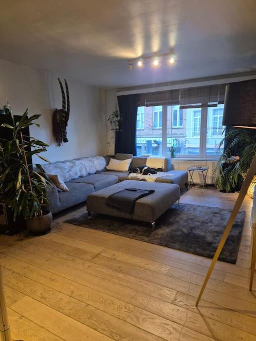 Appartement met groot terras