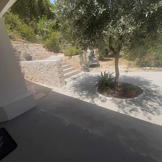 Iremia Apartment photo 4