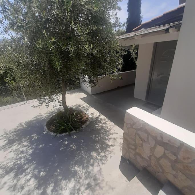Iremia Apartment
