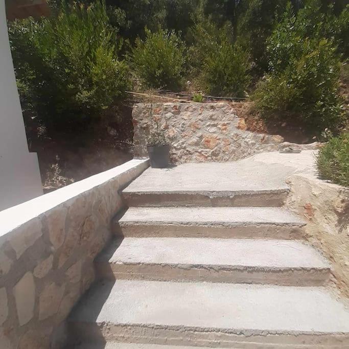 Iremia Apartment