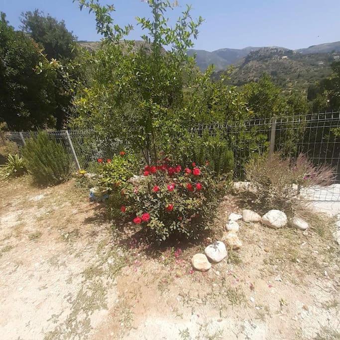 Iremia Apartment