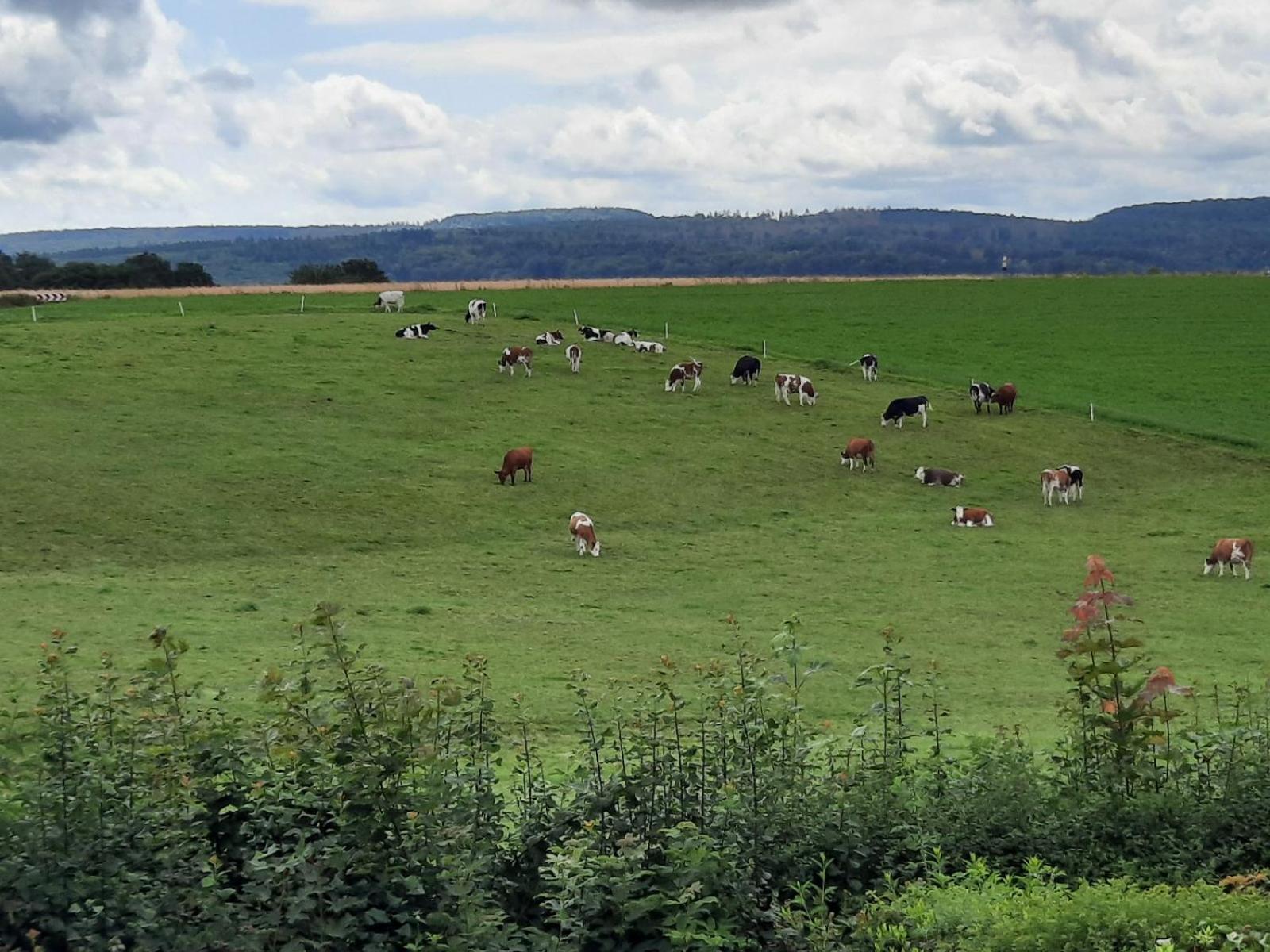 Hof Sorgenfrei