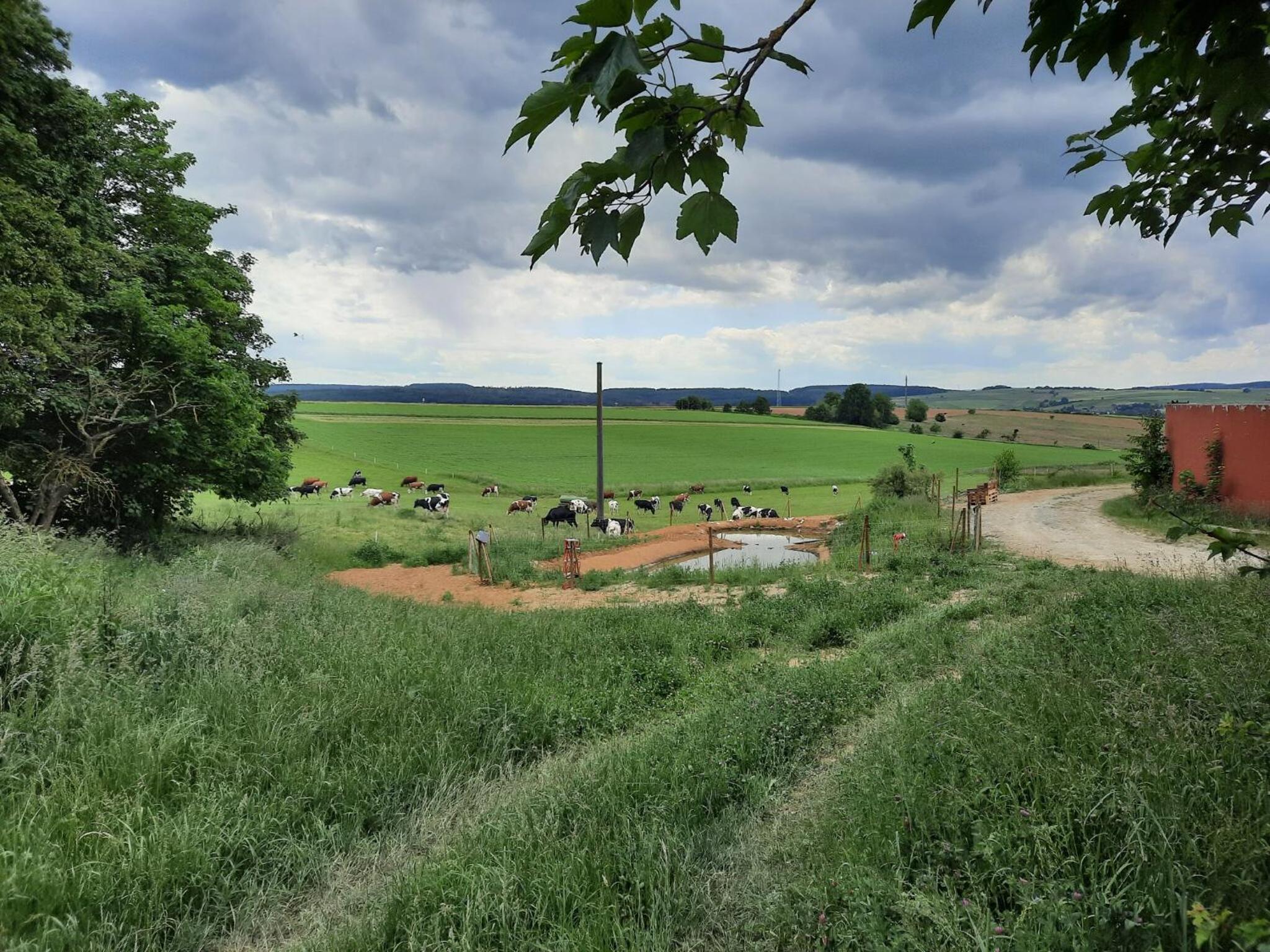 Hof Sorgenfrei