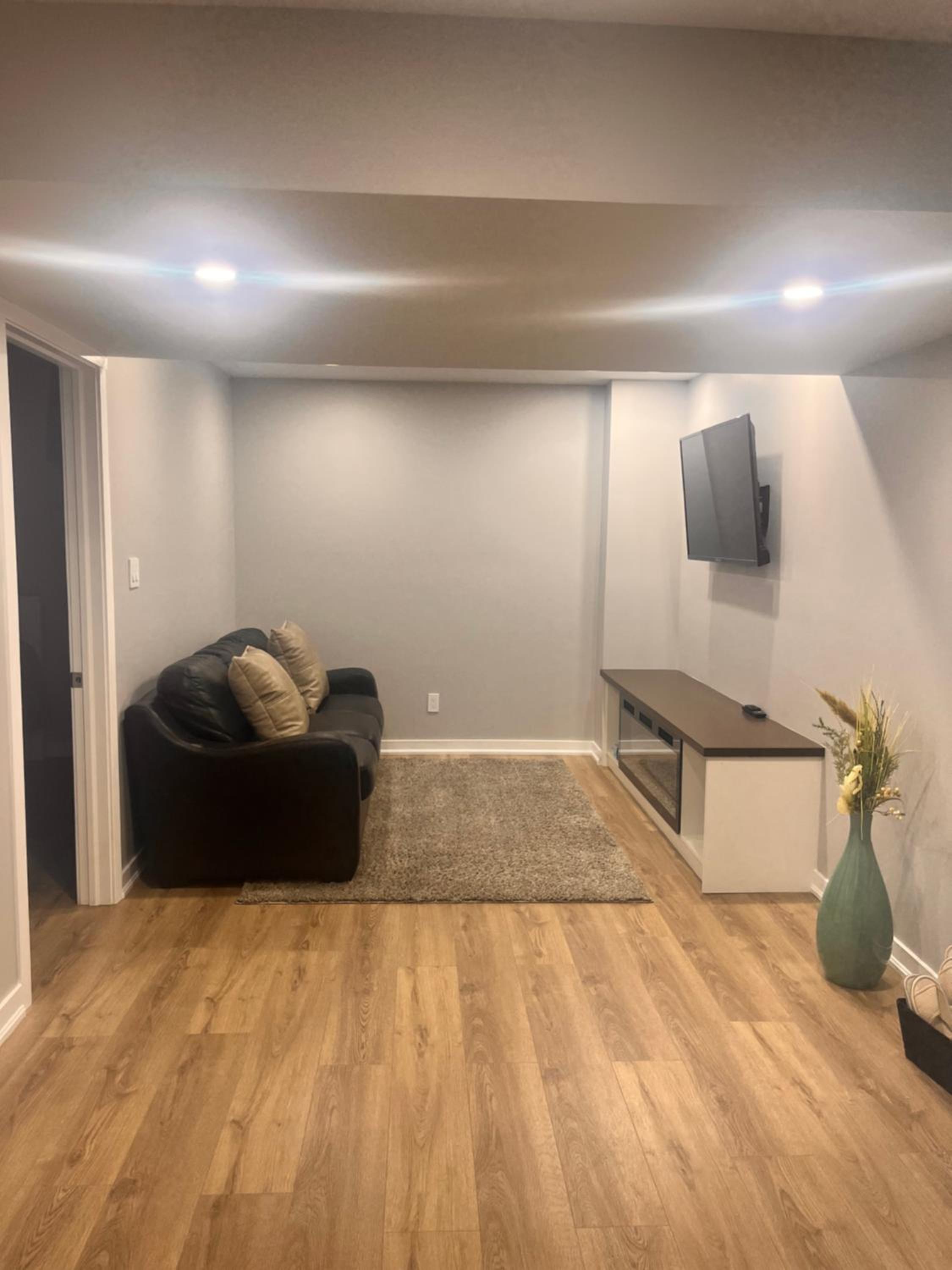 New one bedroom apartment