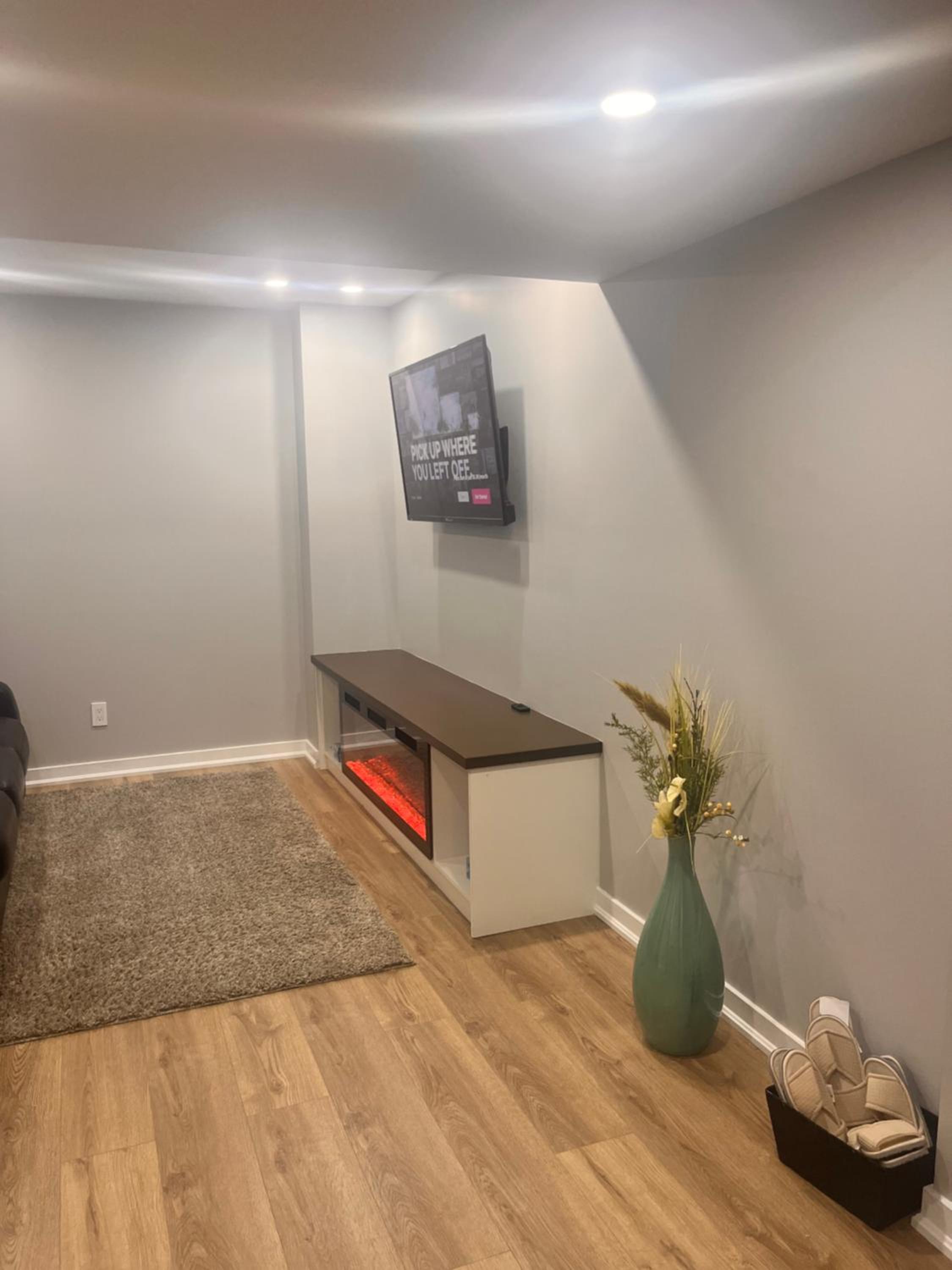 New one bedroom apartment