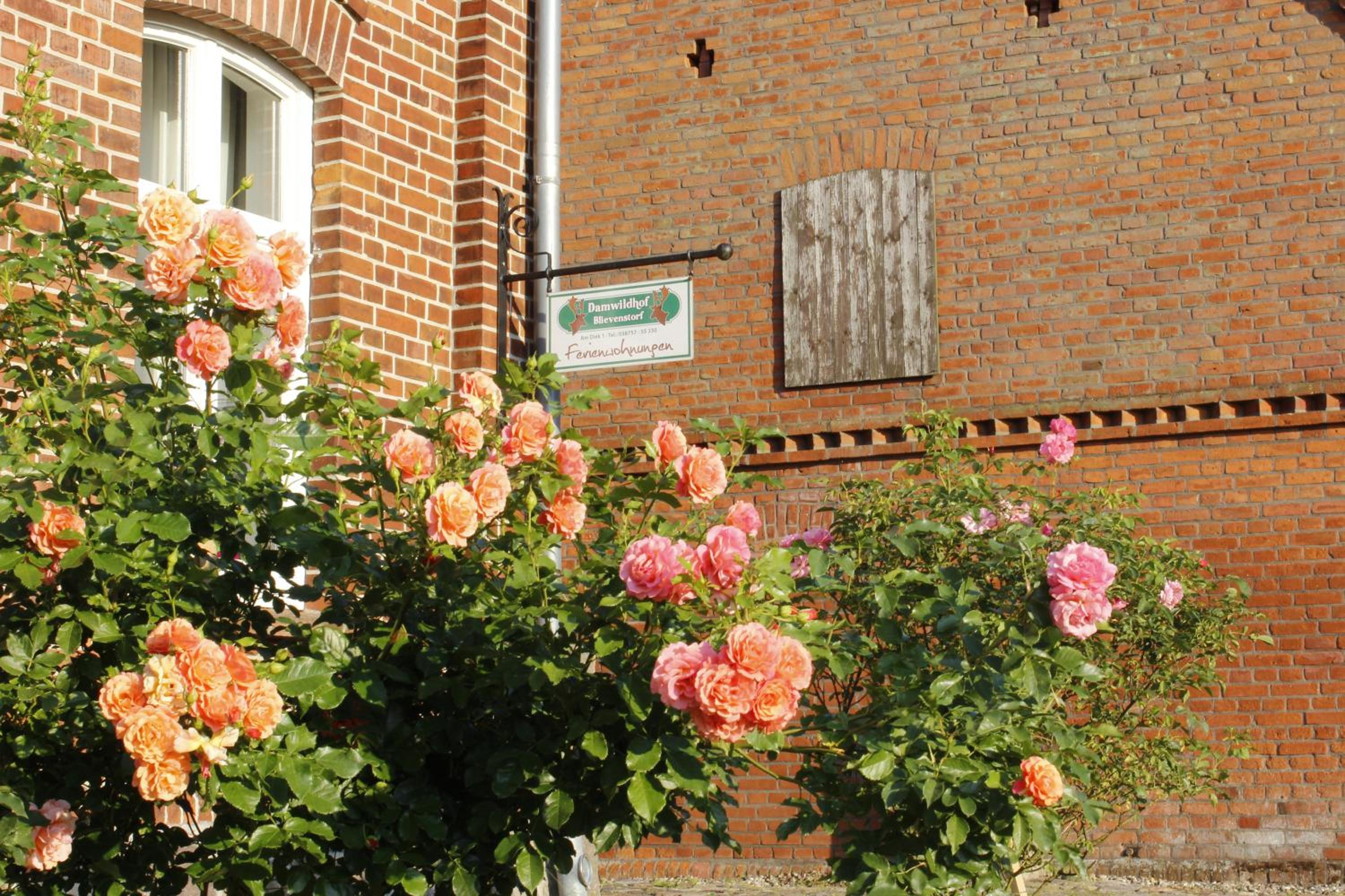 Damwildhof Blievenstorf- Ferienhaus