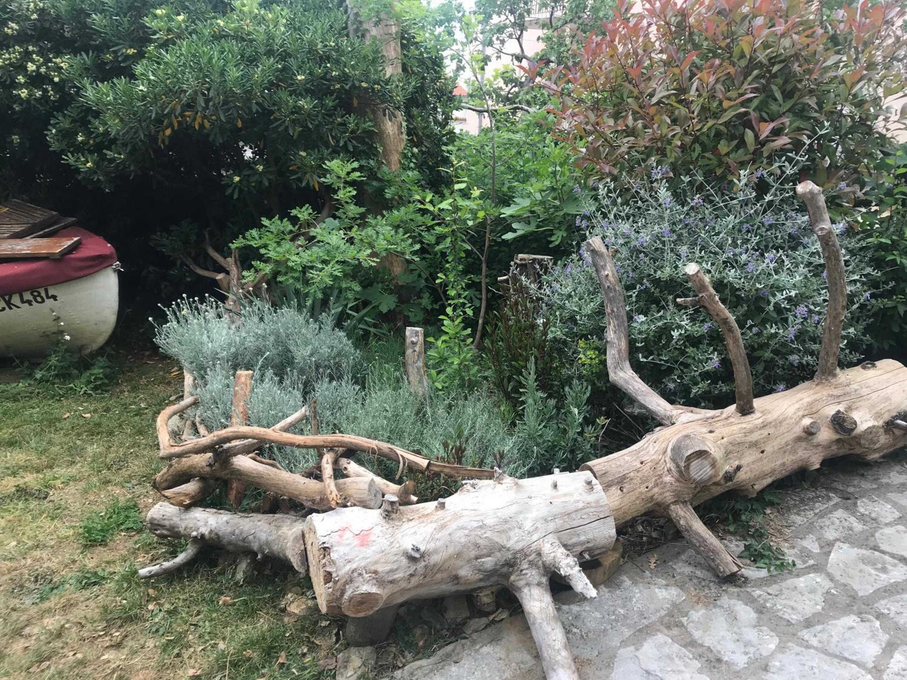 Photo 18