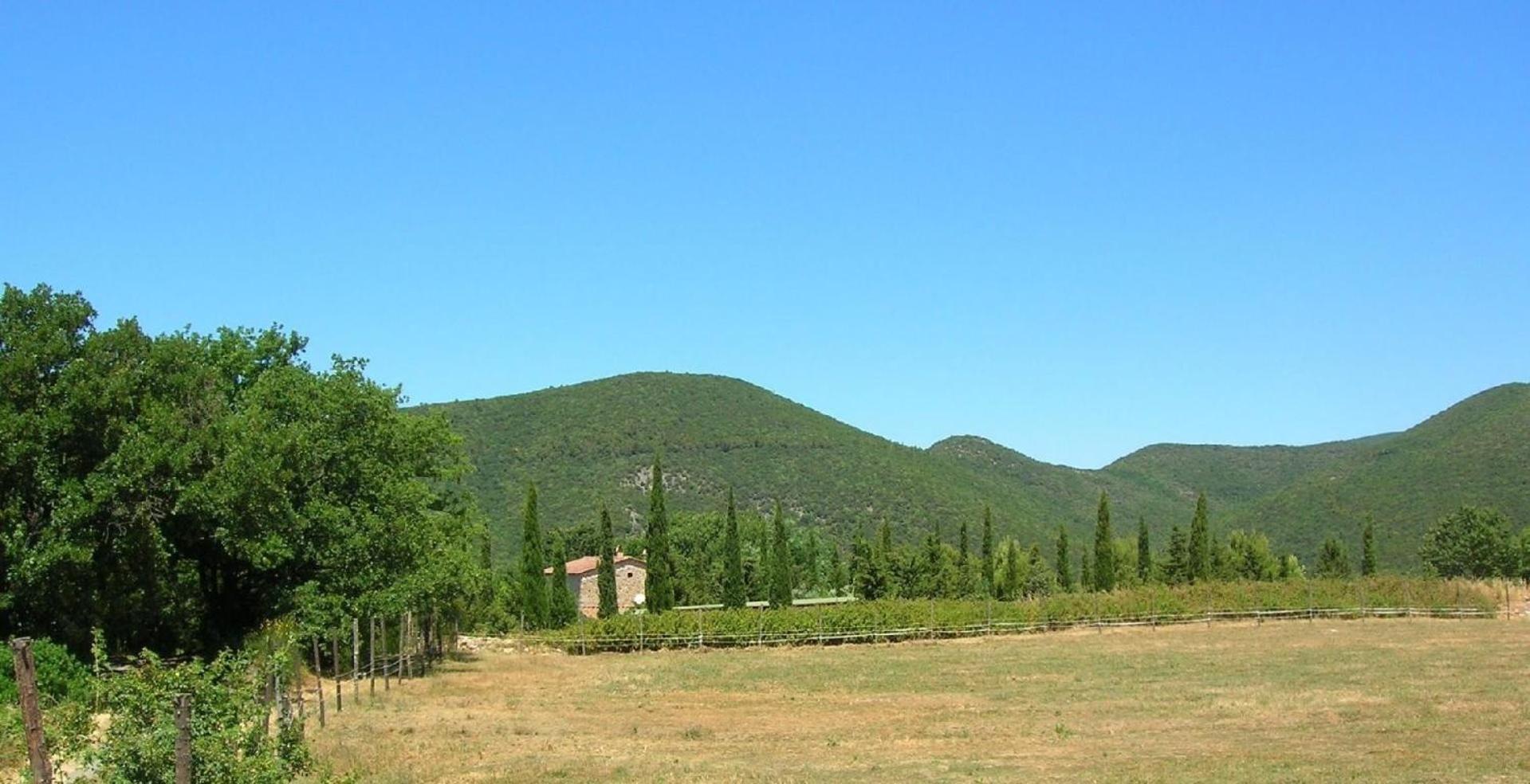Wohnung Grecale In Castellina Marittima