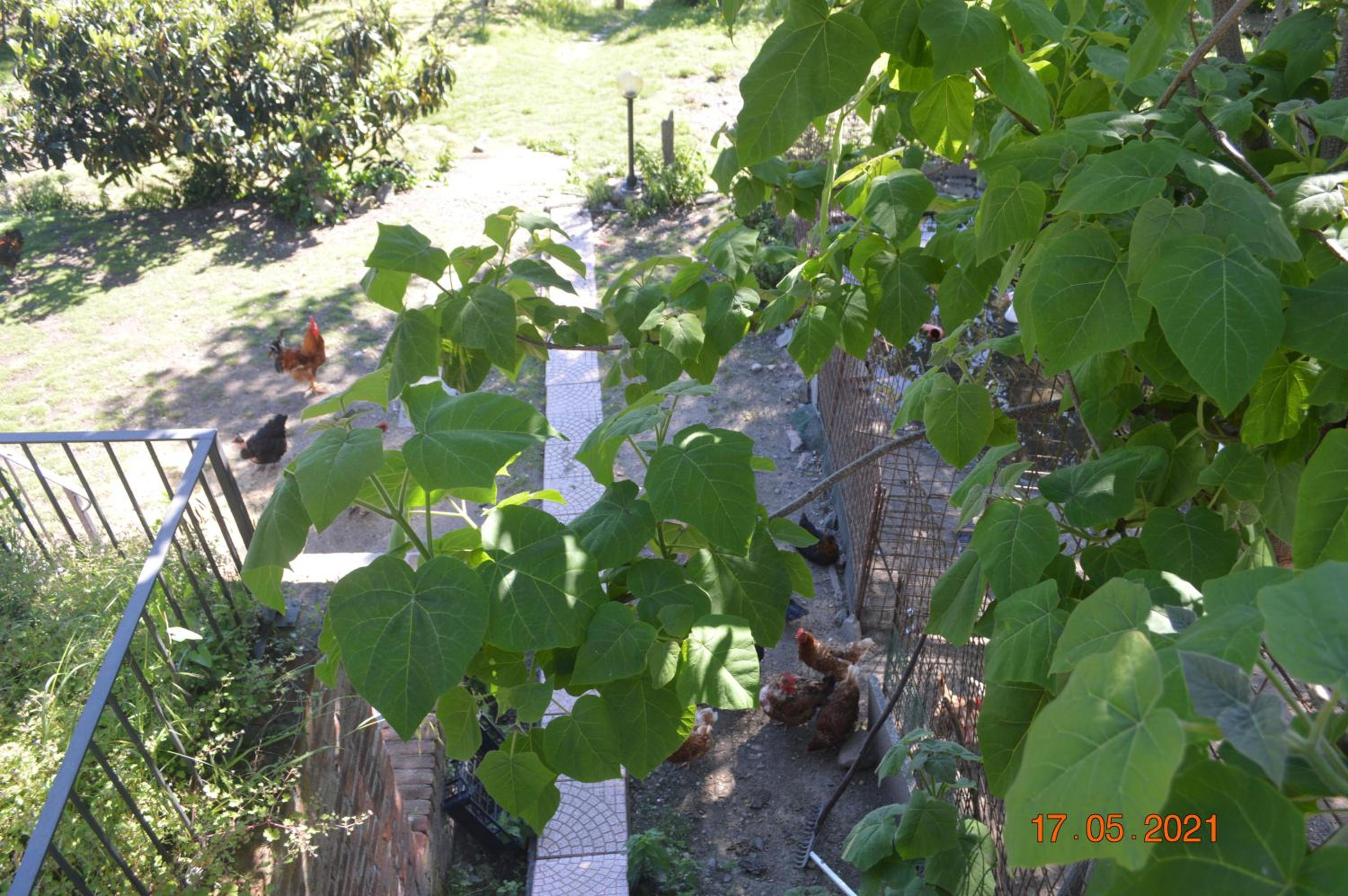 Photo 17