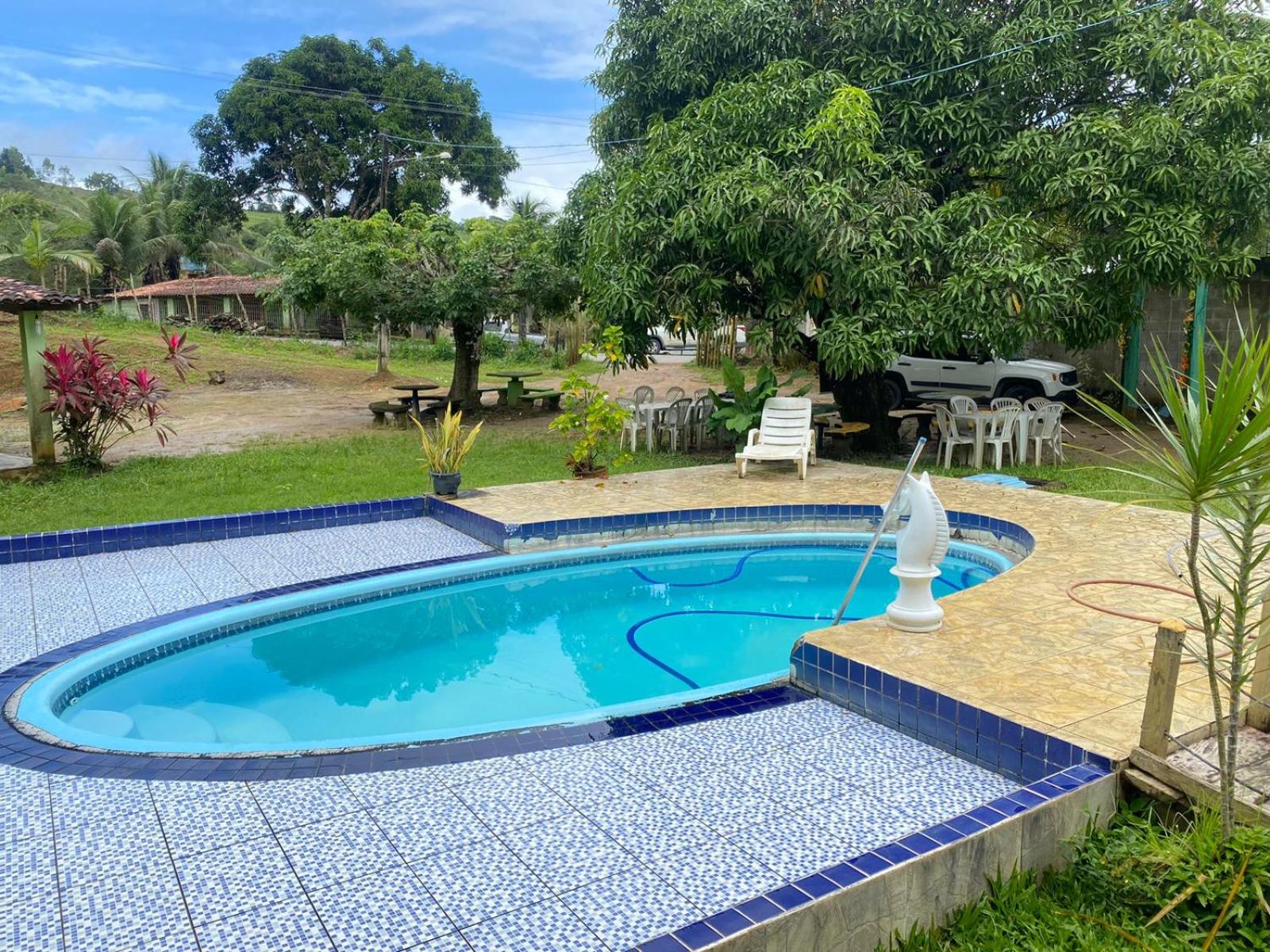 Portal Amor e Consciência