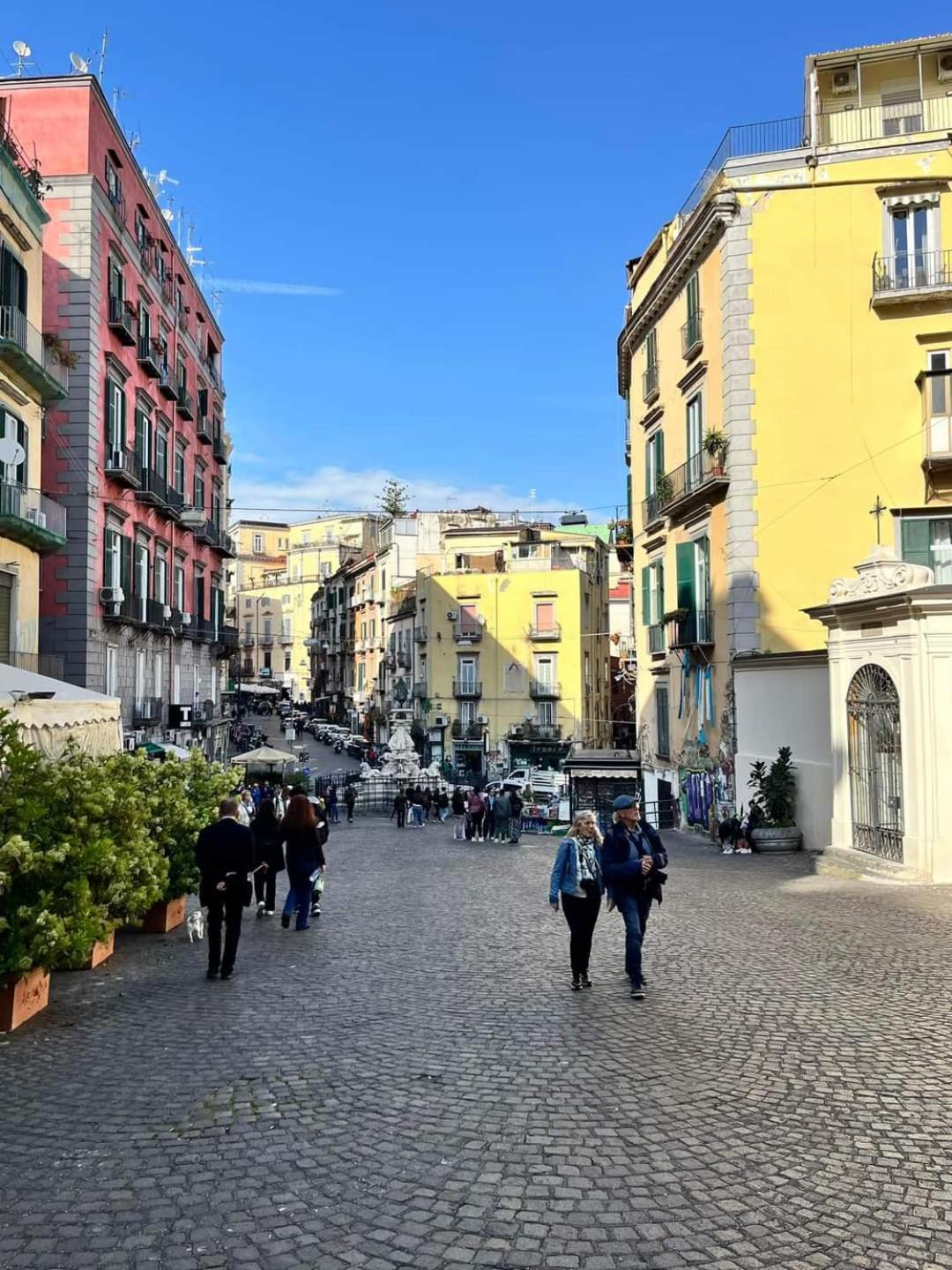 ART HOUSE VENUSIO Naples