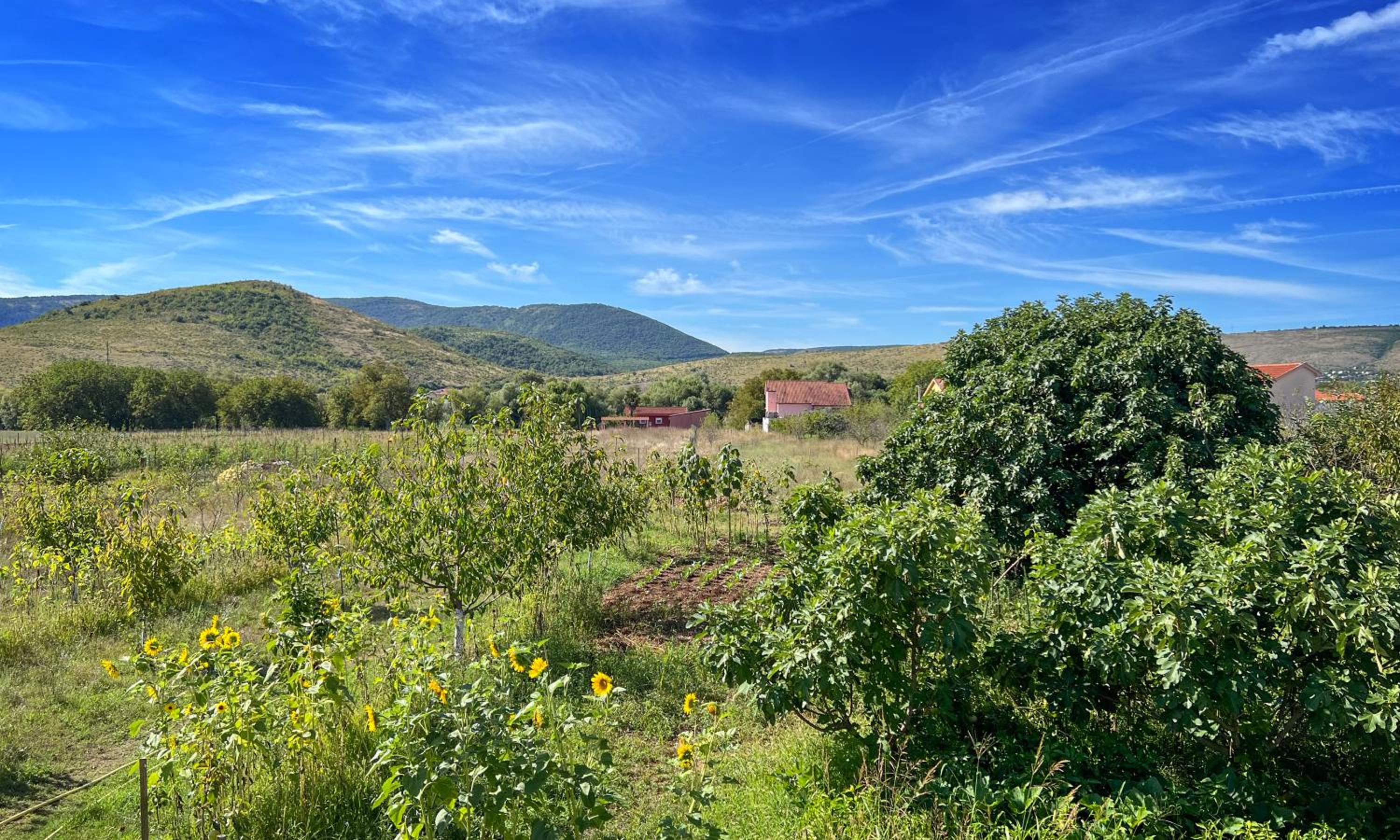 Cherry Orchard Inn