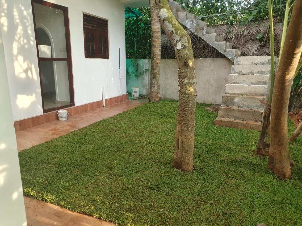 Jack's House view 2